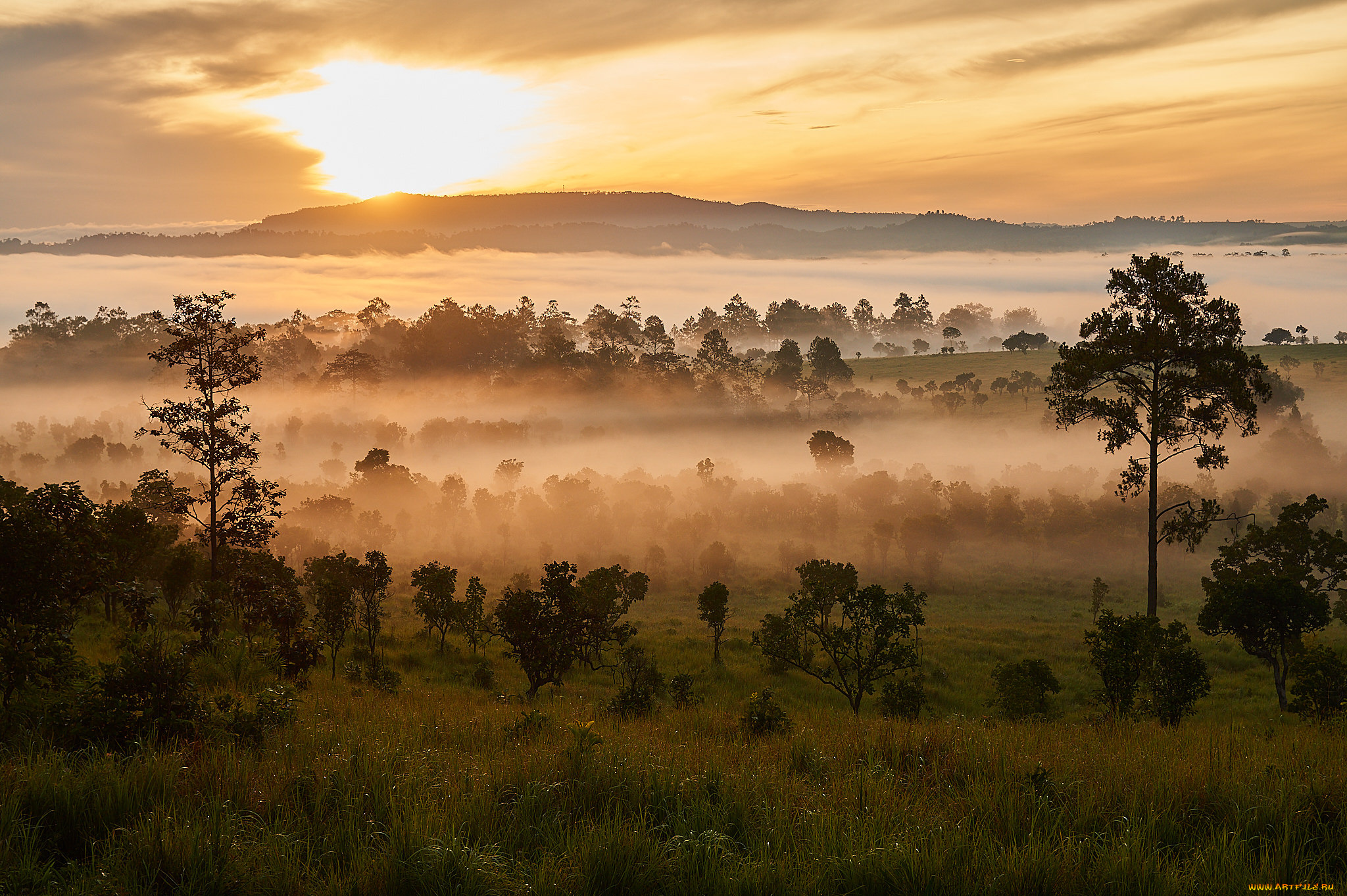 природа, восходы, закаты, простор