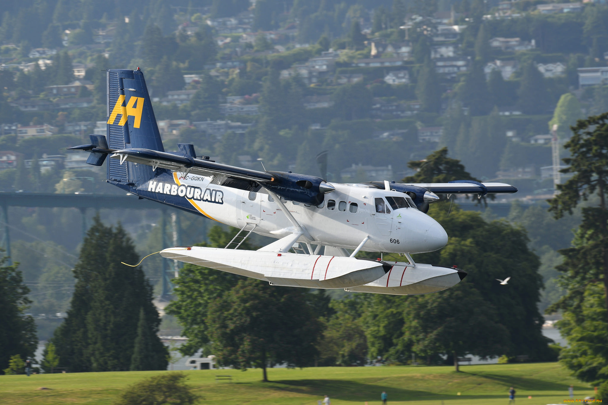 авиация, самолёты, амфибии, гидроплан