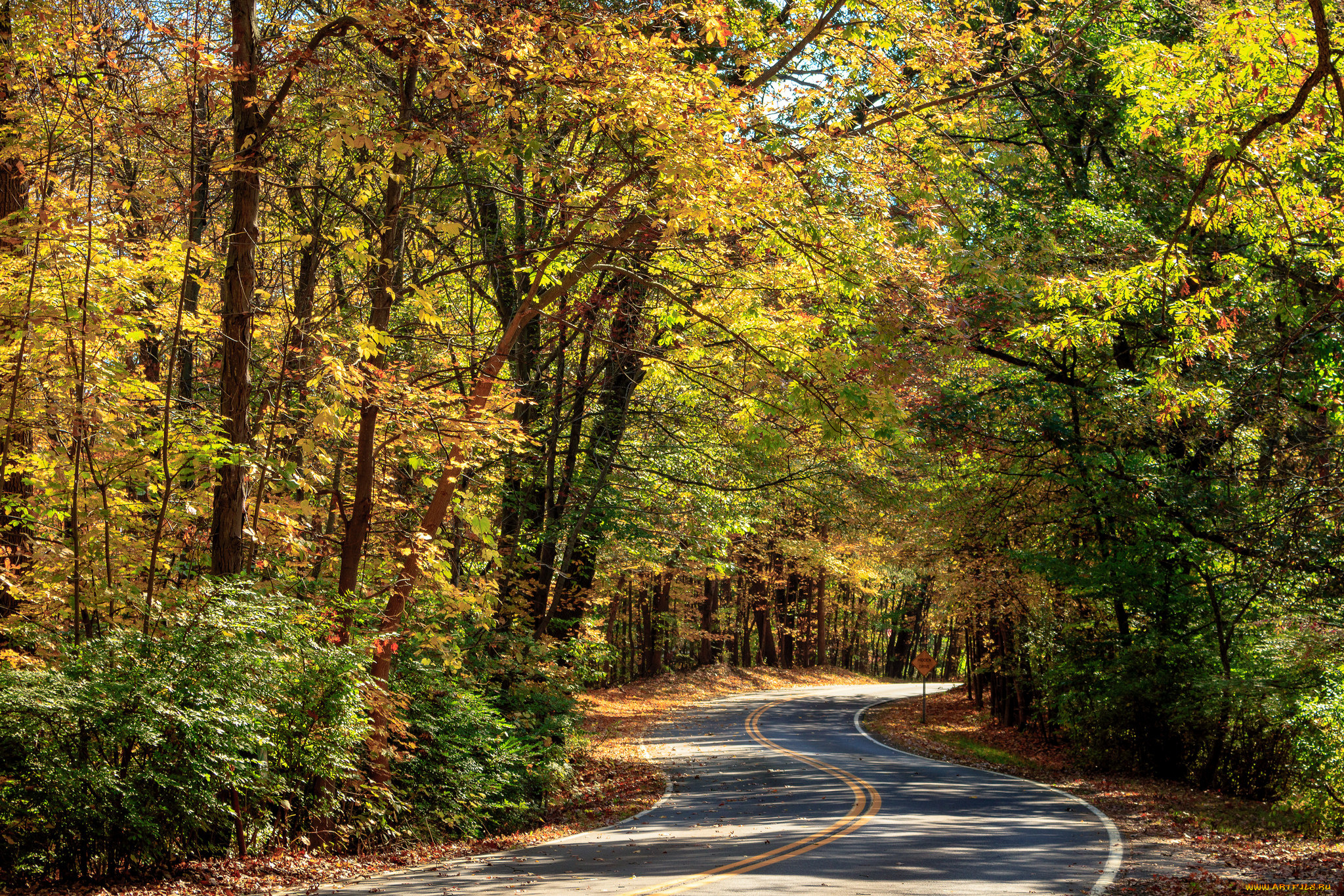 природа, дороги, простор