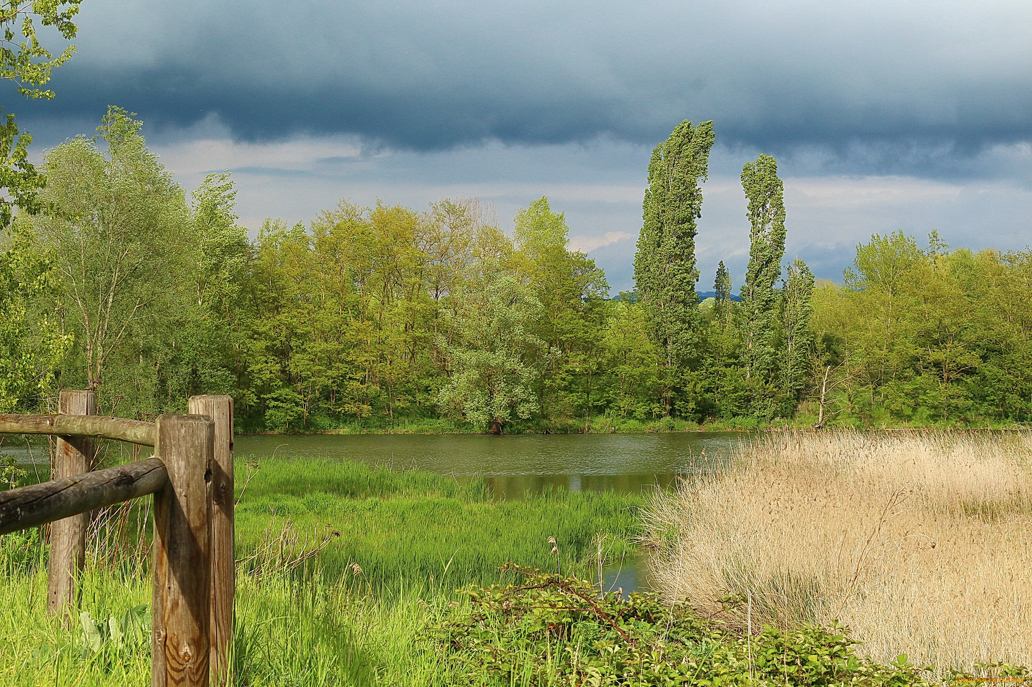 природа, реки, озера, простор