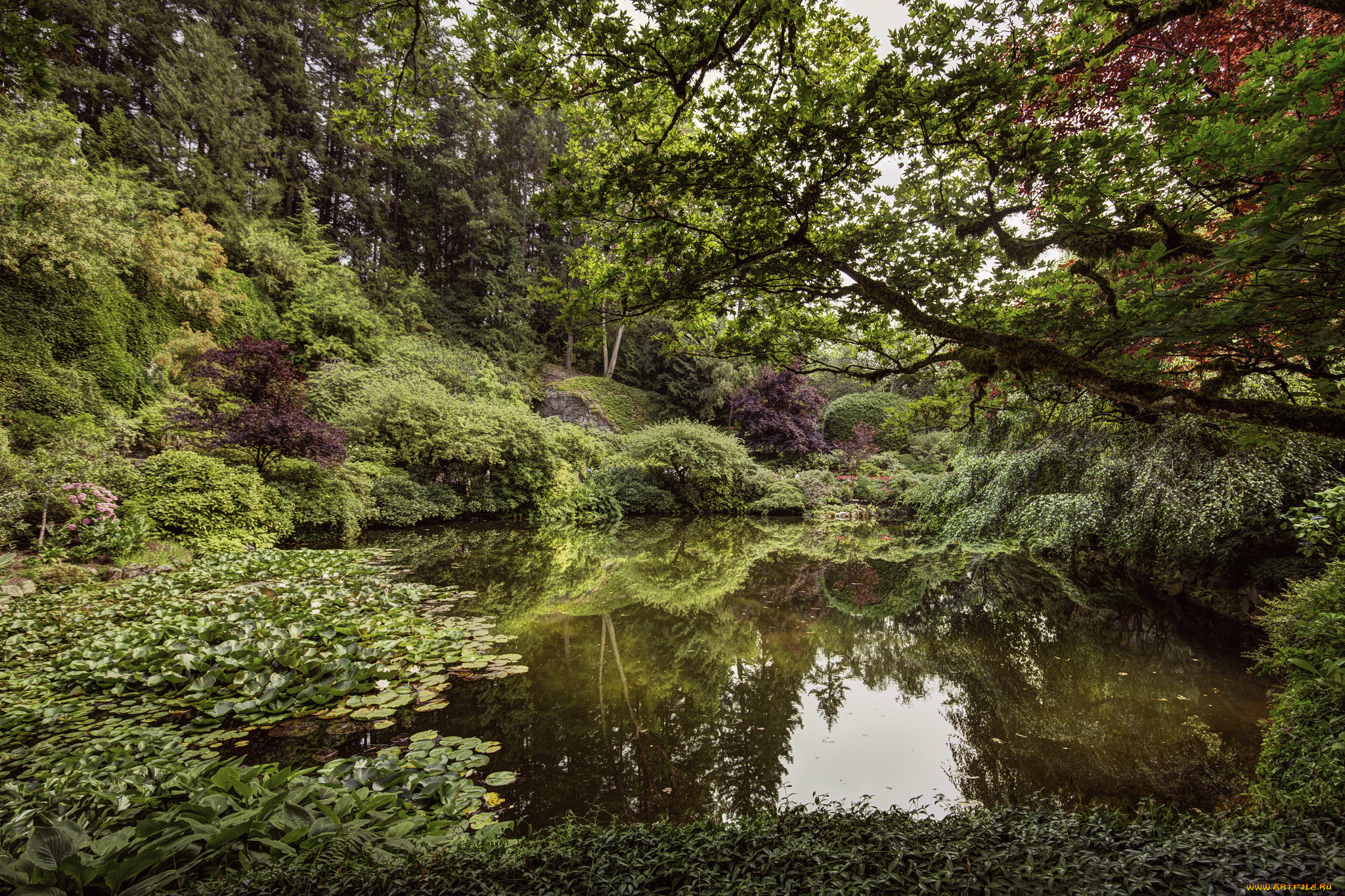 природа, реки, озера, простор