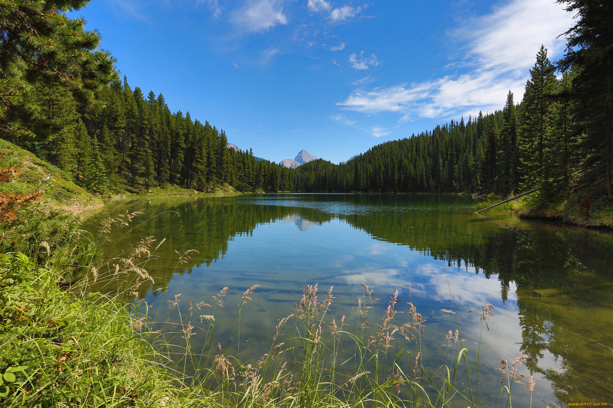 природа, реки, озера, простор