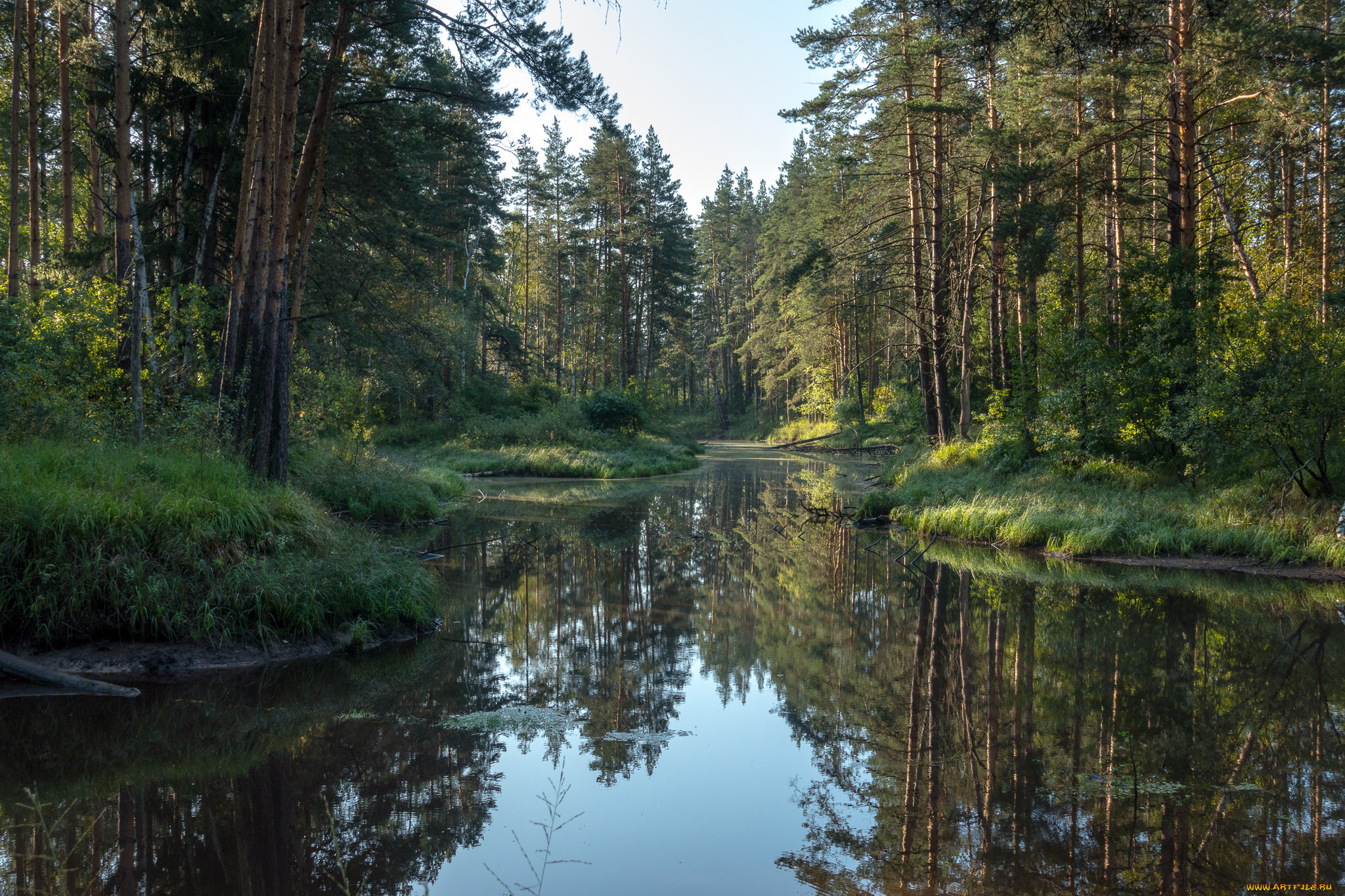 природа, реки, озера, простор