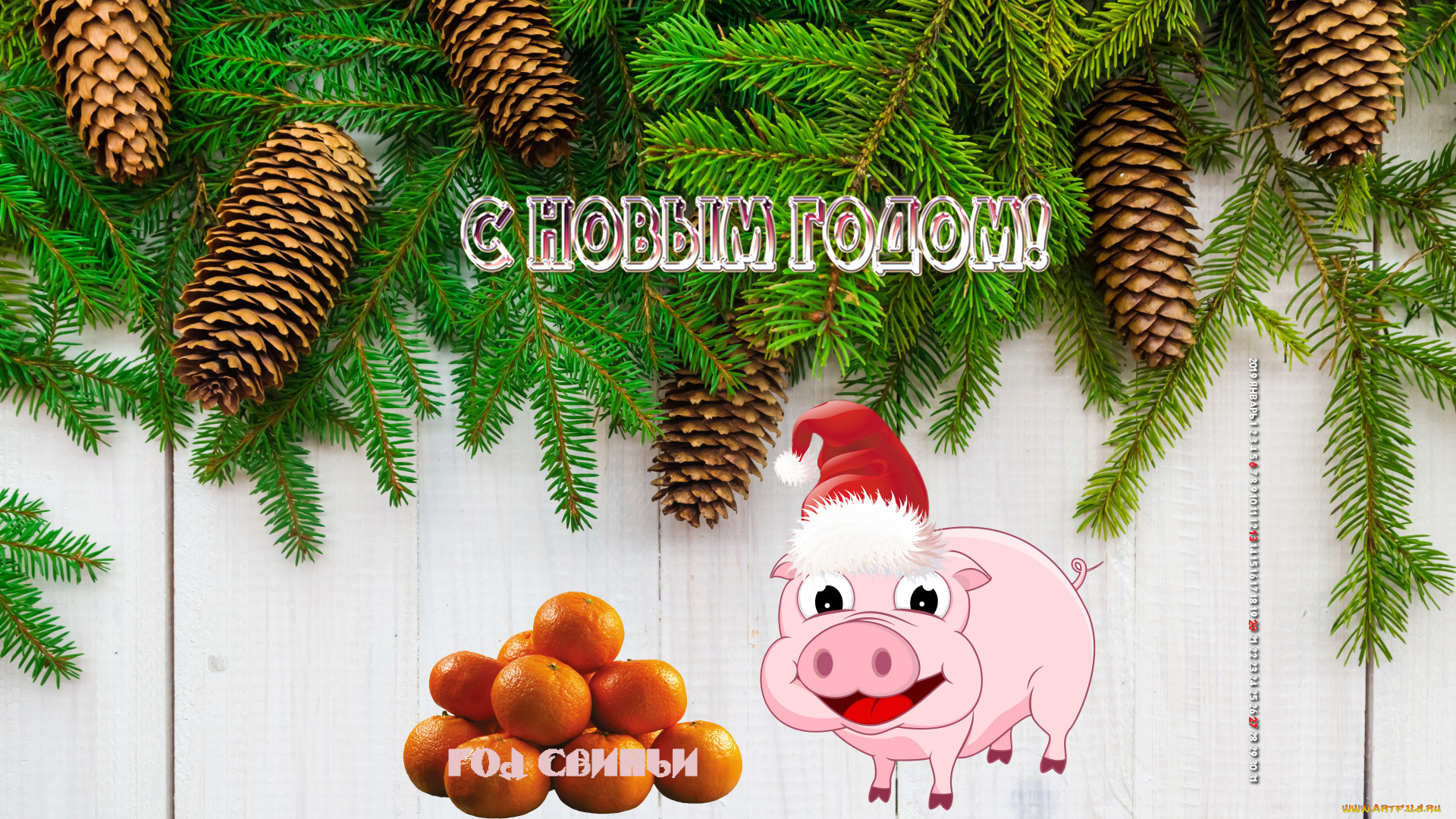 календари, праздники, , салюты, свинья, шапка, поросенок, шишка, ветка, мандарин
