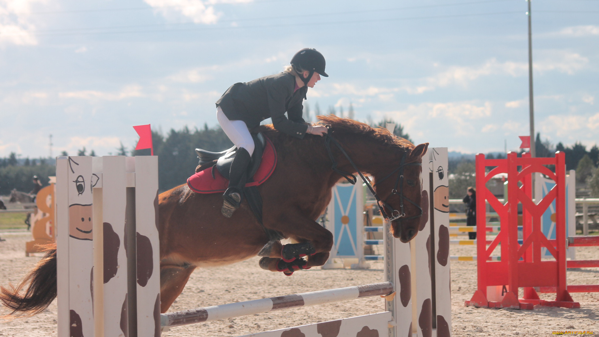 спорт, конный, спорт, лошадь, фон, взгляд, девушка