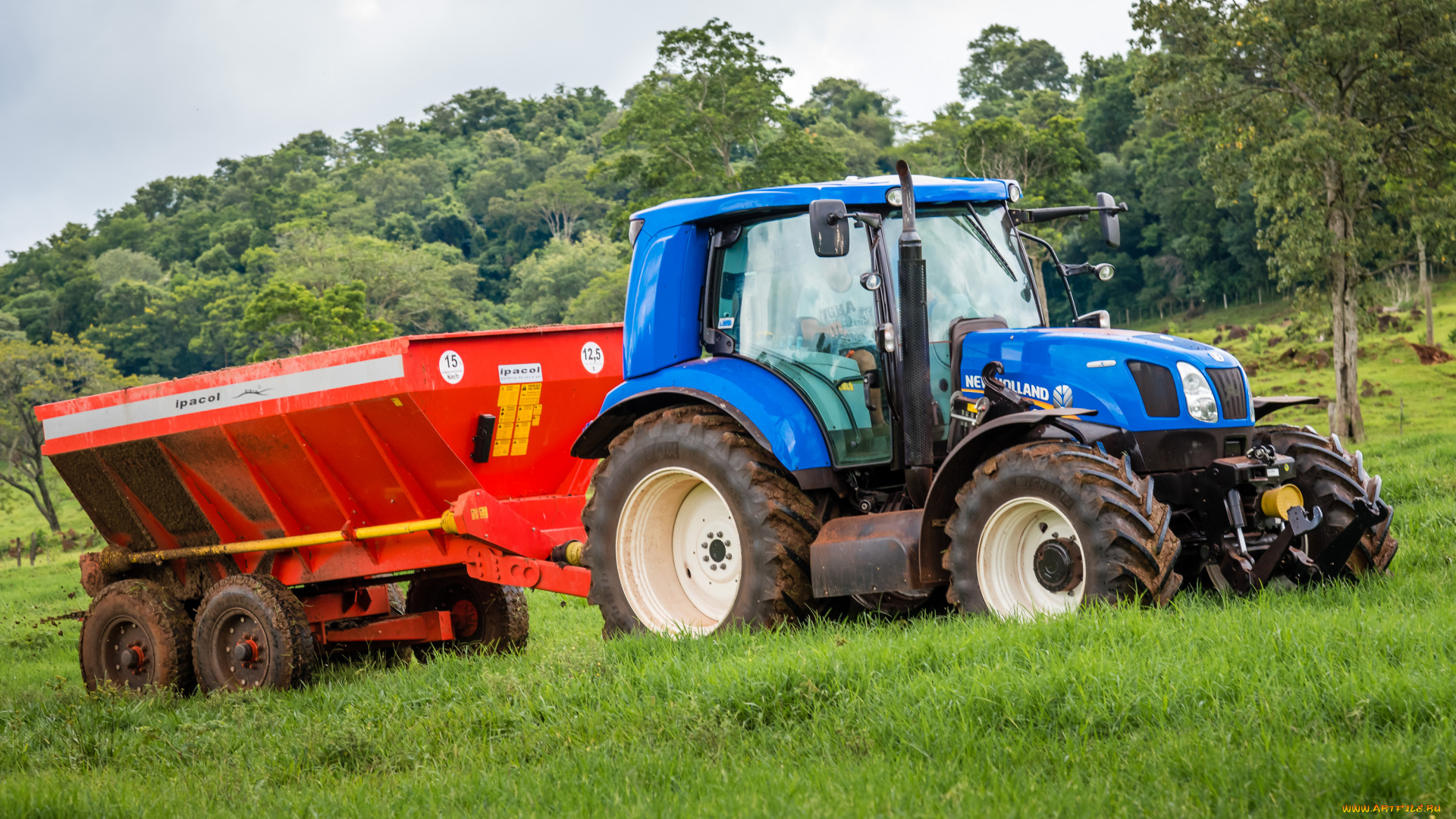 техника, тракторы, new, holland
