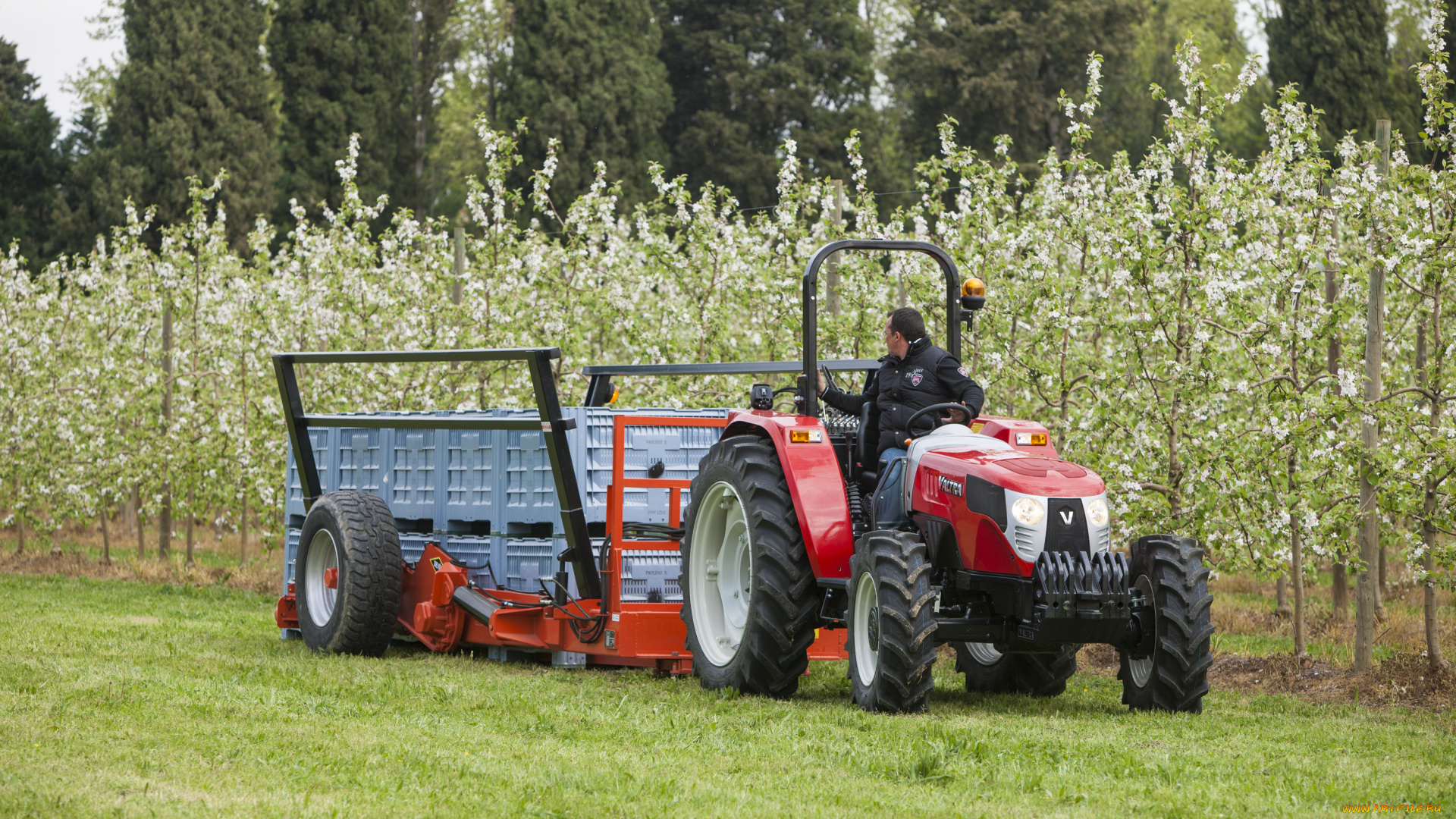 техника, тракторы, valtra