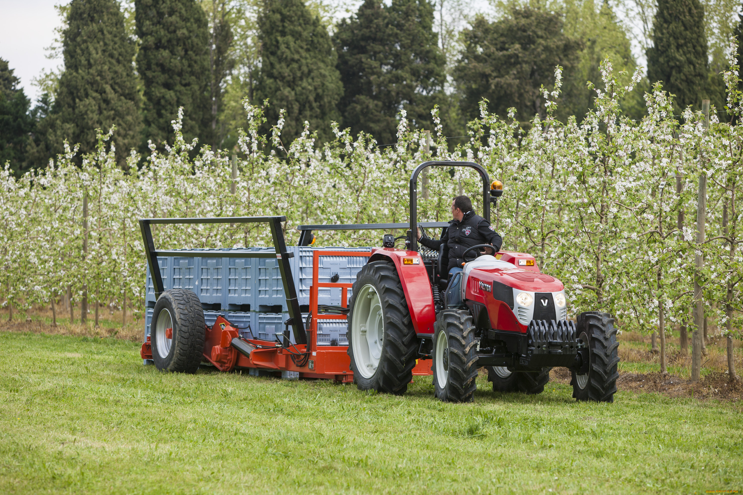 техника, тракторы, valtra