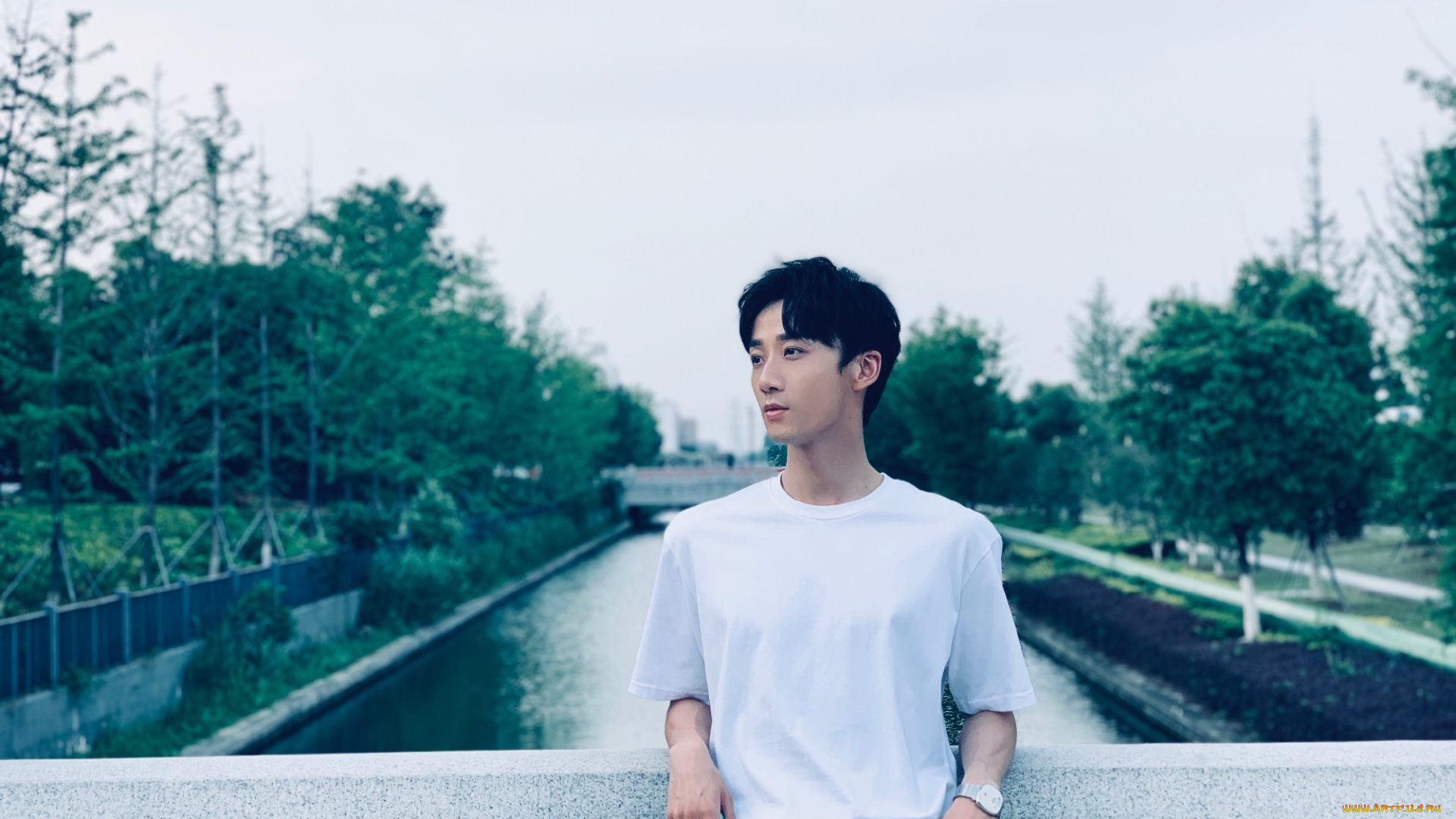 мужчины, li, bo, wen, li, bo, wen