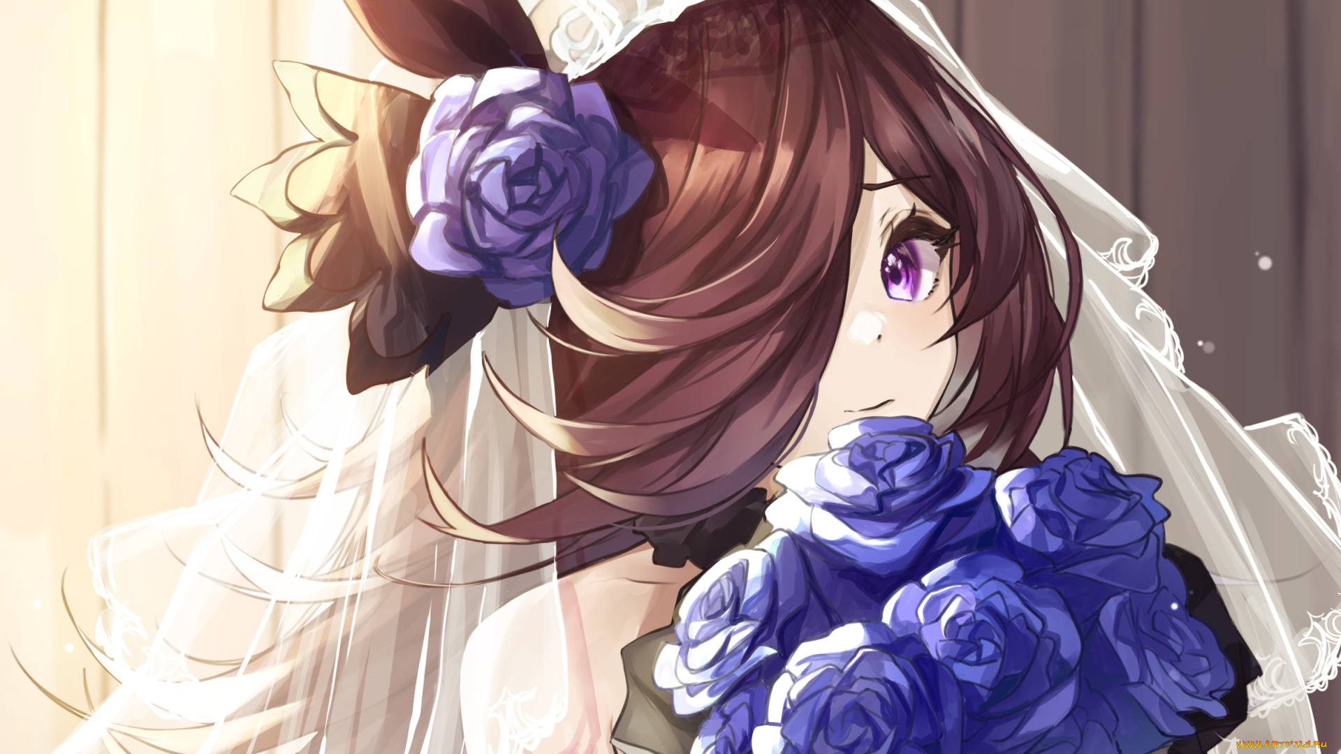 аниме, uma, musume, , pretty, derby, uma, musume, pretty, derby