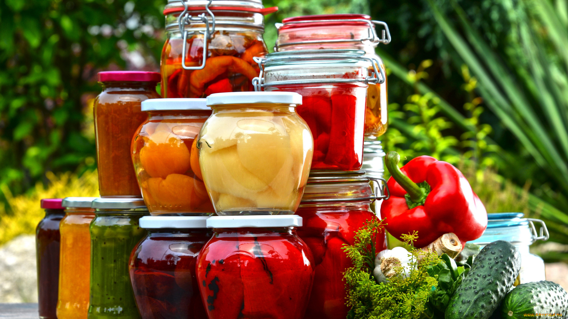 еда, консервация, банки, консервированные, овощи, укроп, чеснок, огурец