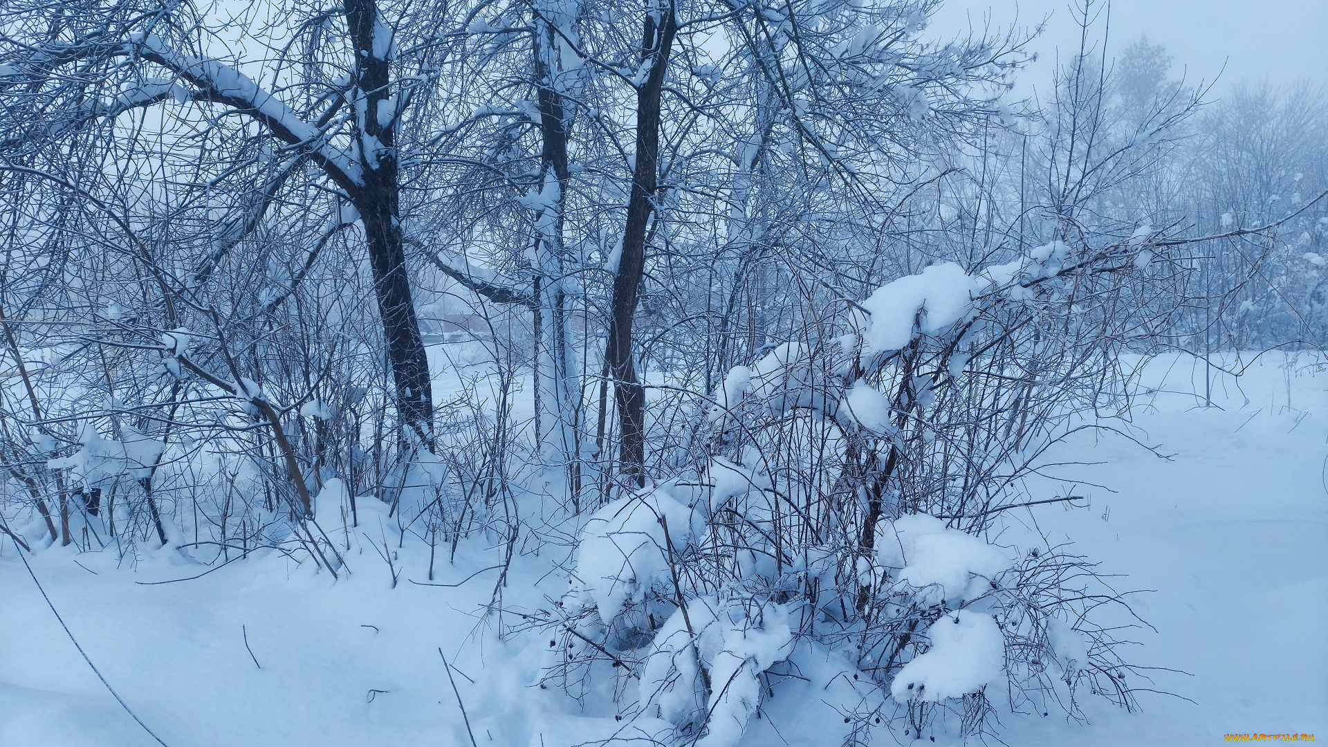 природа, зима, снег