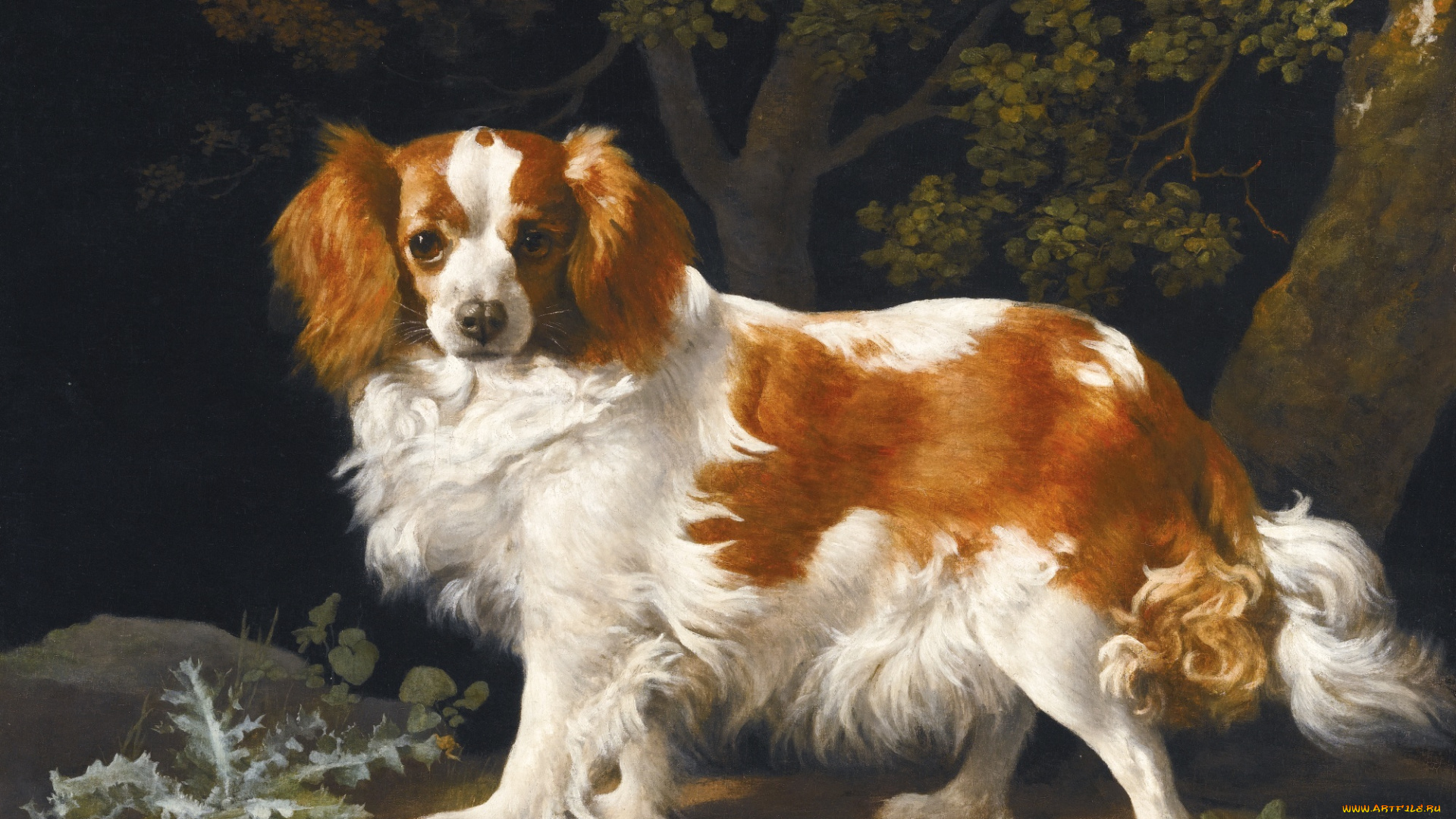 рисованное, george, stubbs, georg, stubbs