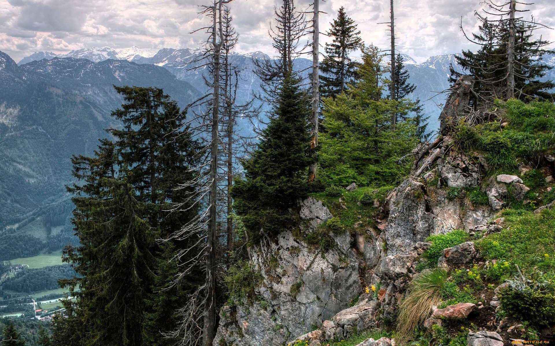 природа, горы, лес