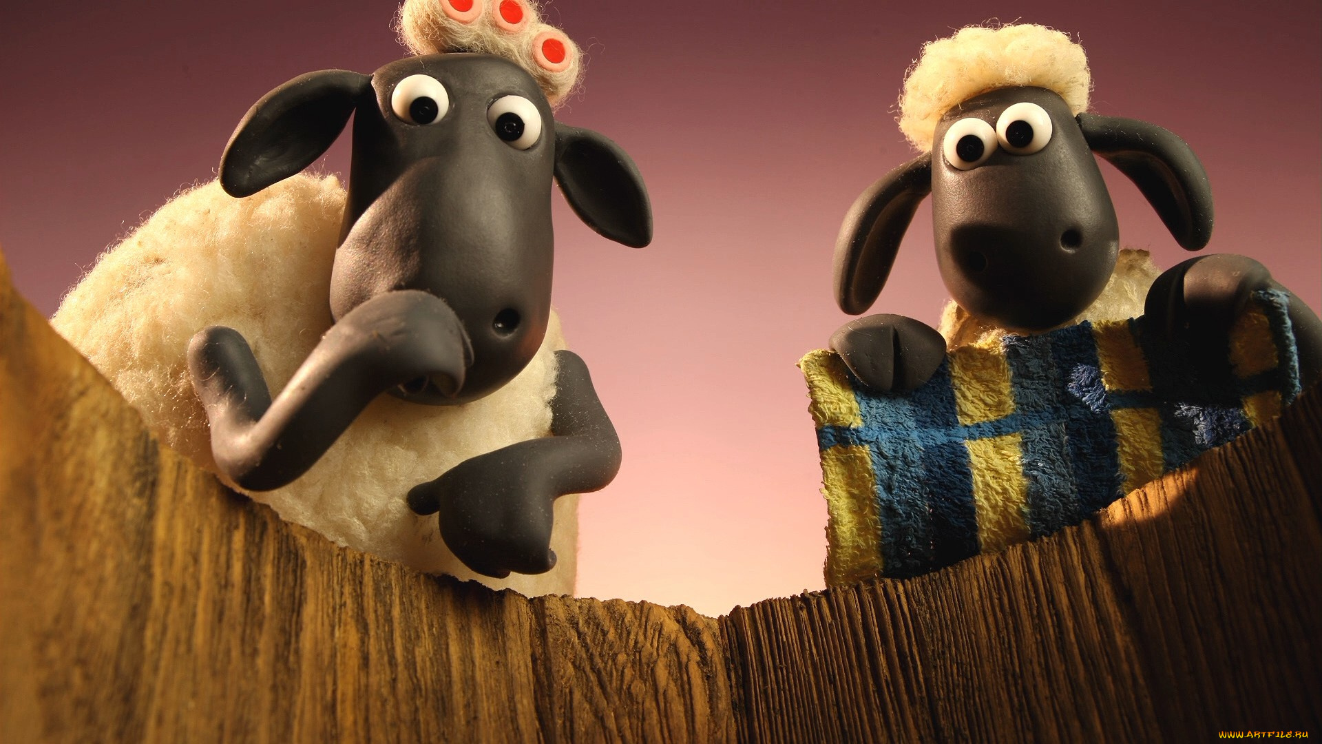 shaun, the, sheep, , сериал, 2007, –, 2020, мультфильмы, shaun, the, sheep, овцы, мультяшные, анимация, аардмана, шон, тв, покадровая, shaun, the, sheep