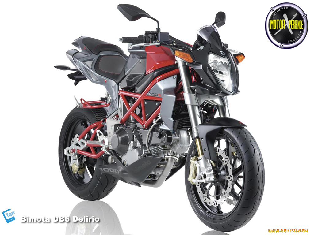 bimota, delirio, мотоциклы