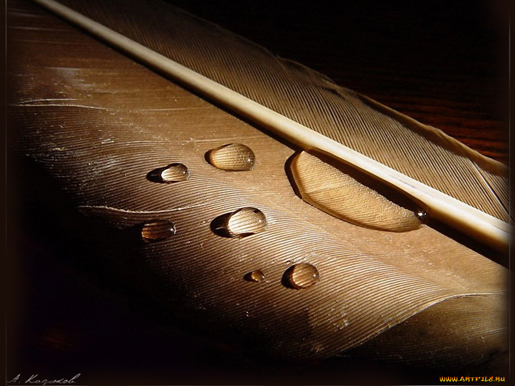 казюков, разное, капли, брызги, всплески