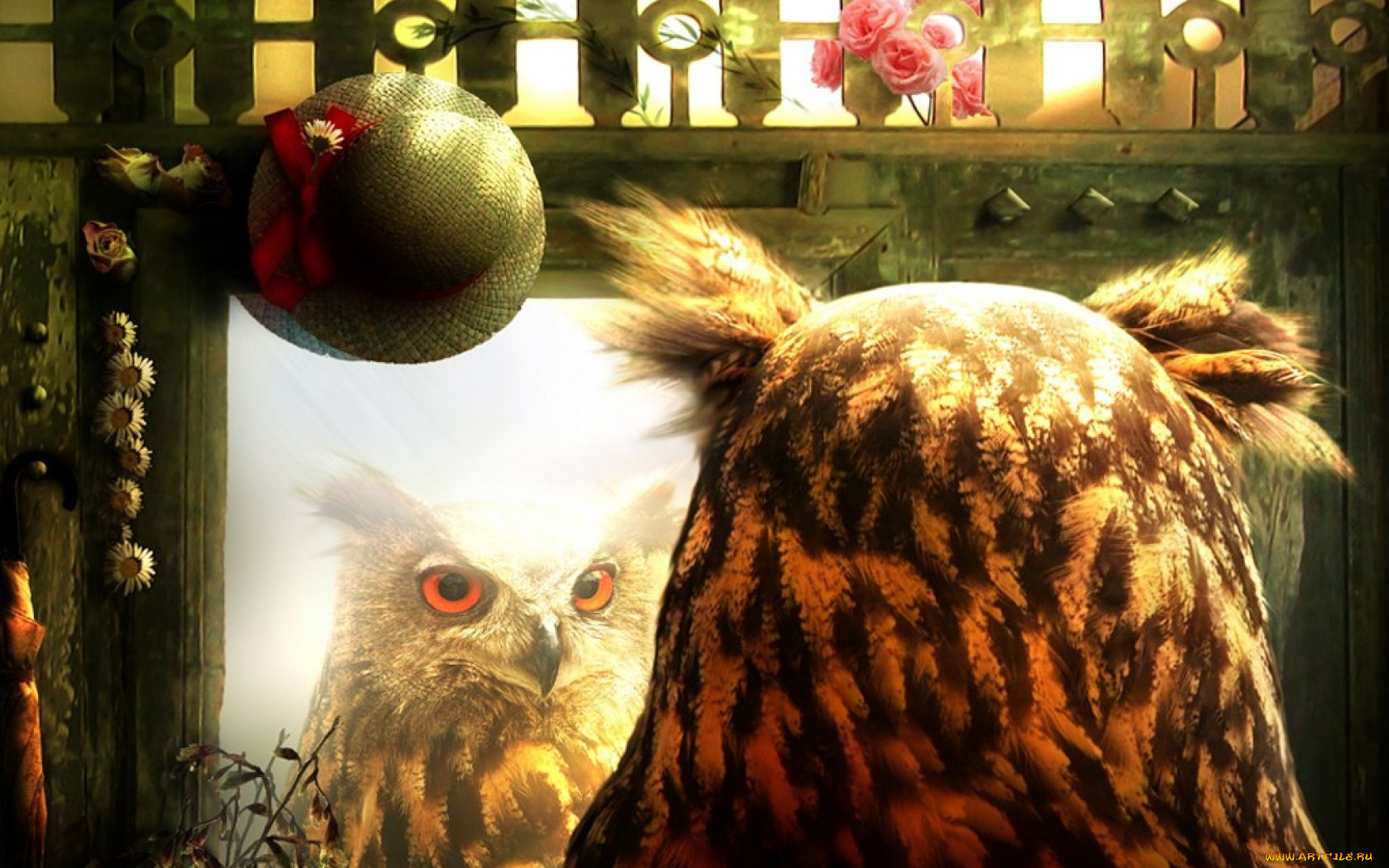 рисованные, животные, птицы, совы, филины