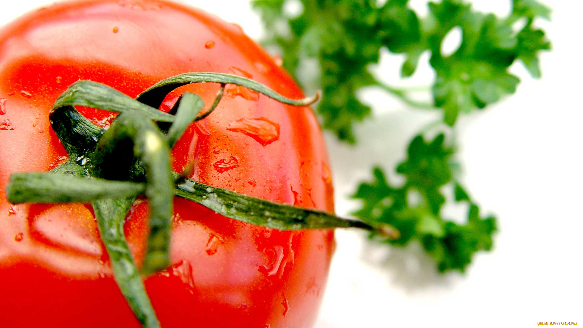 еда, помидоры, томаты