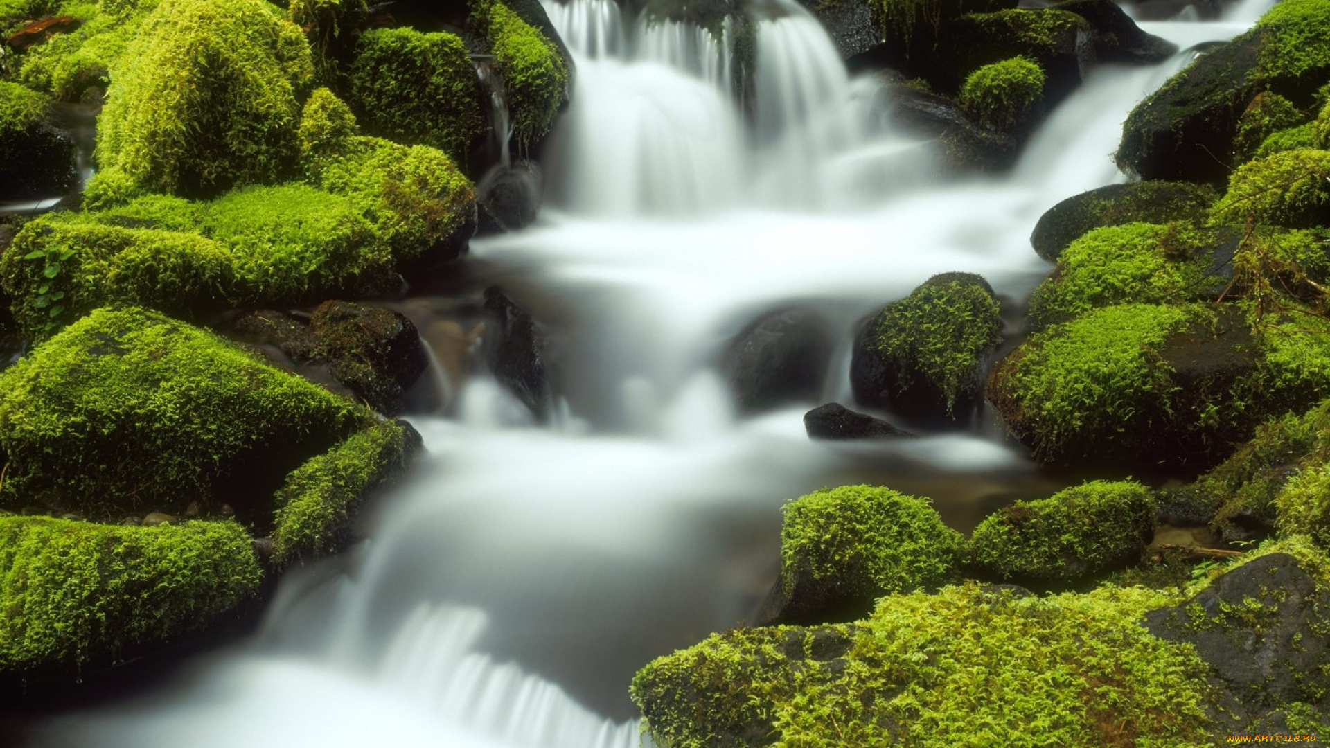 природа, реки, озера