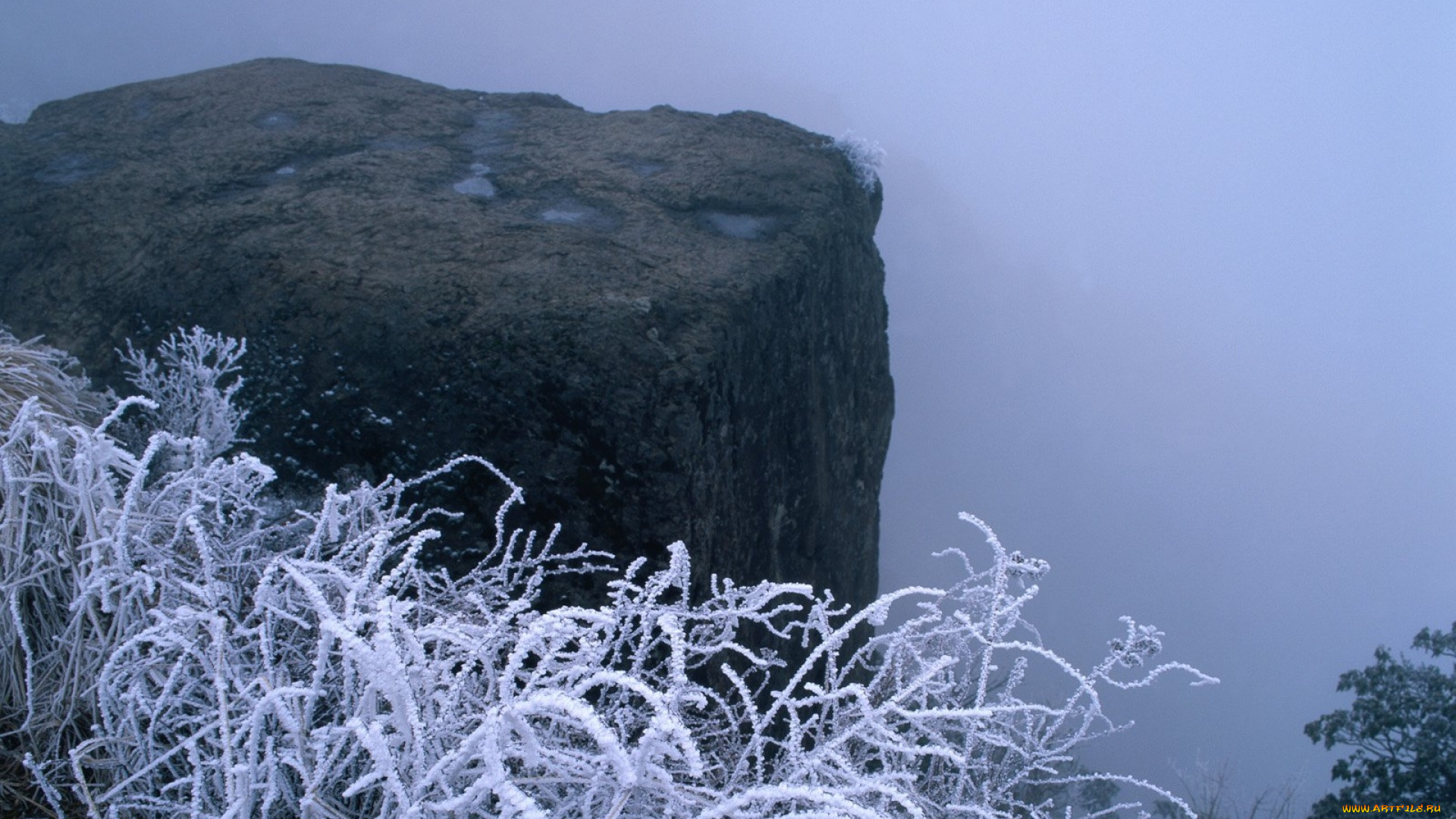 природа, зима