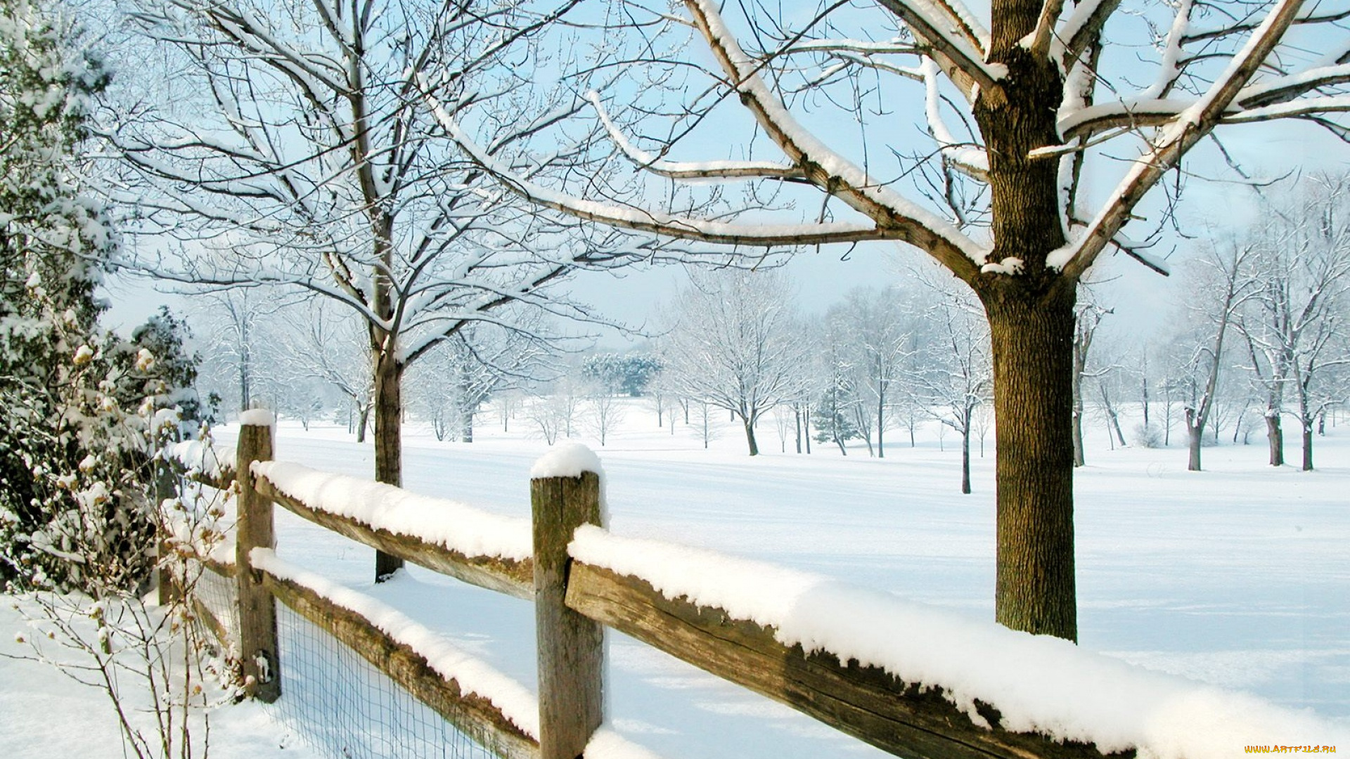 природа, зима