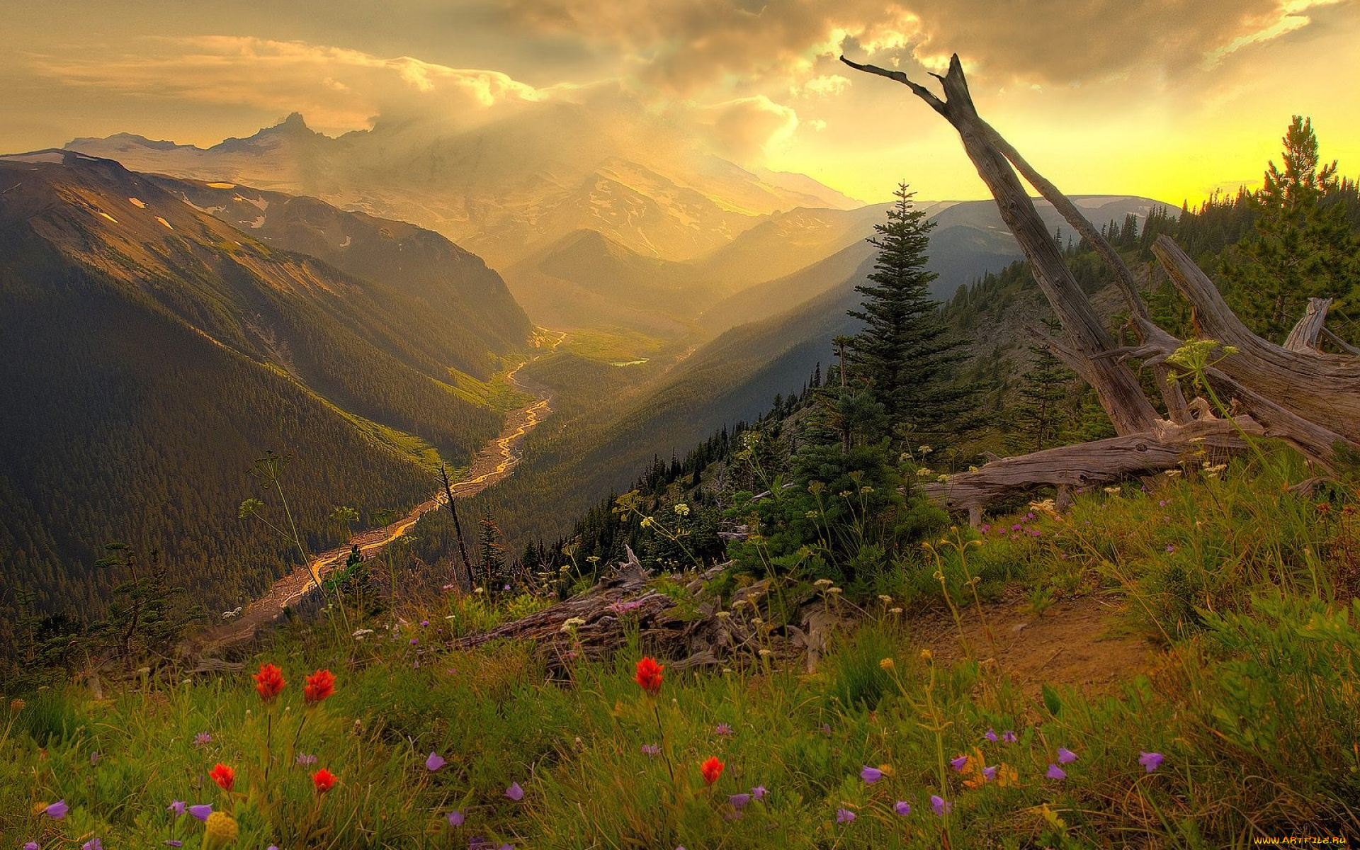 природа, пейзажи