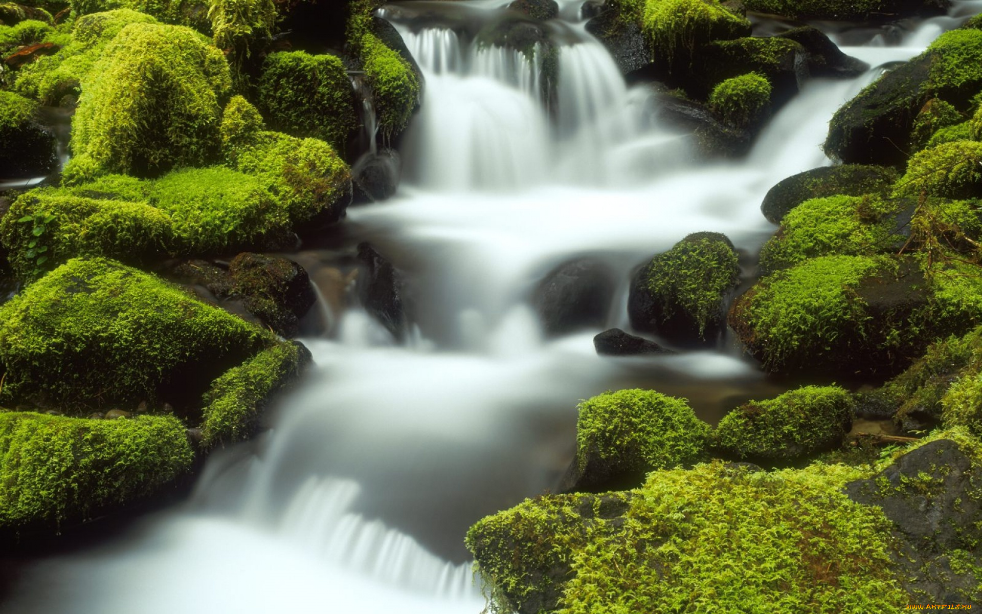 природа, реки, озера