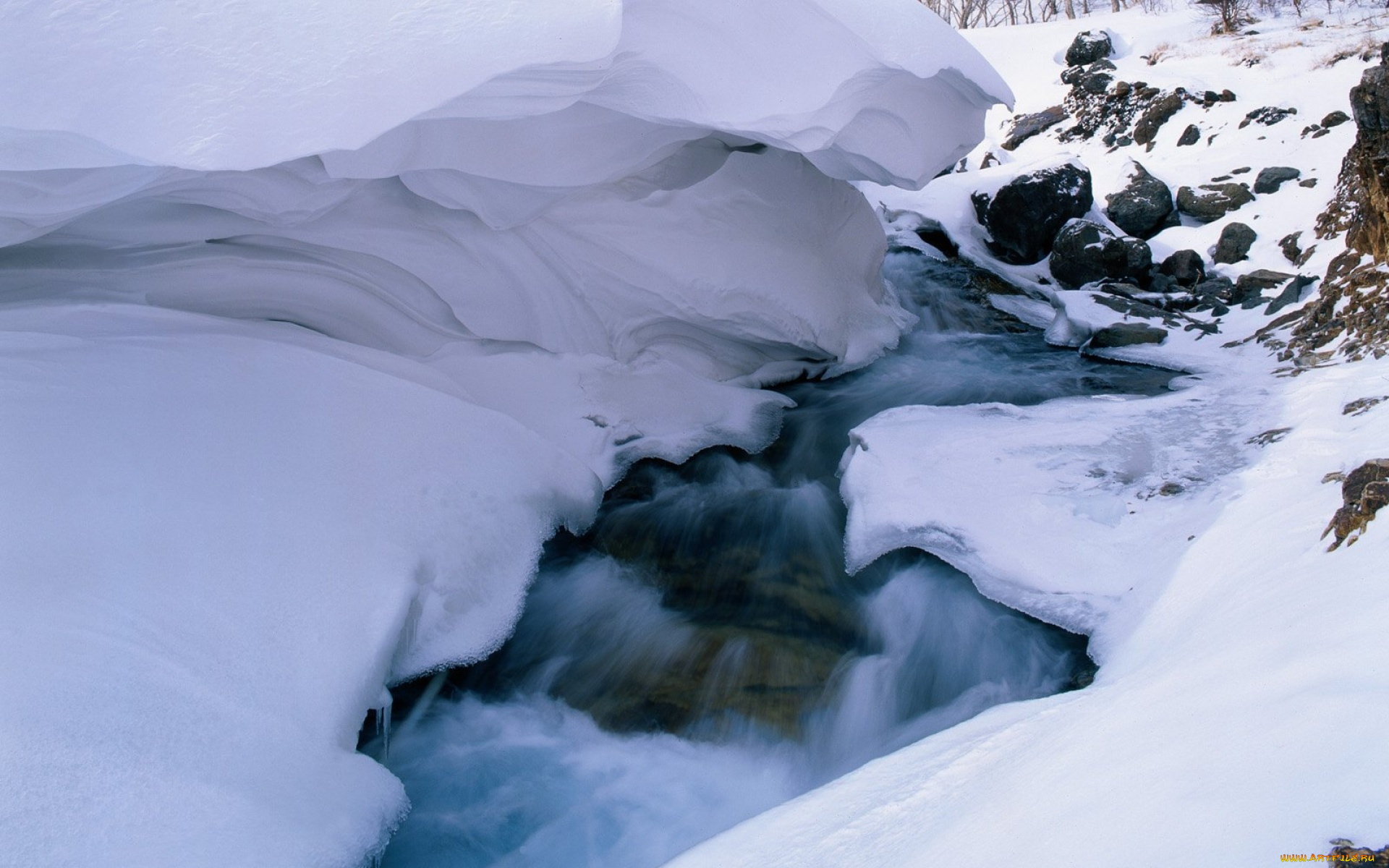 природа, зима