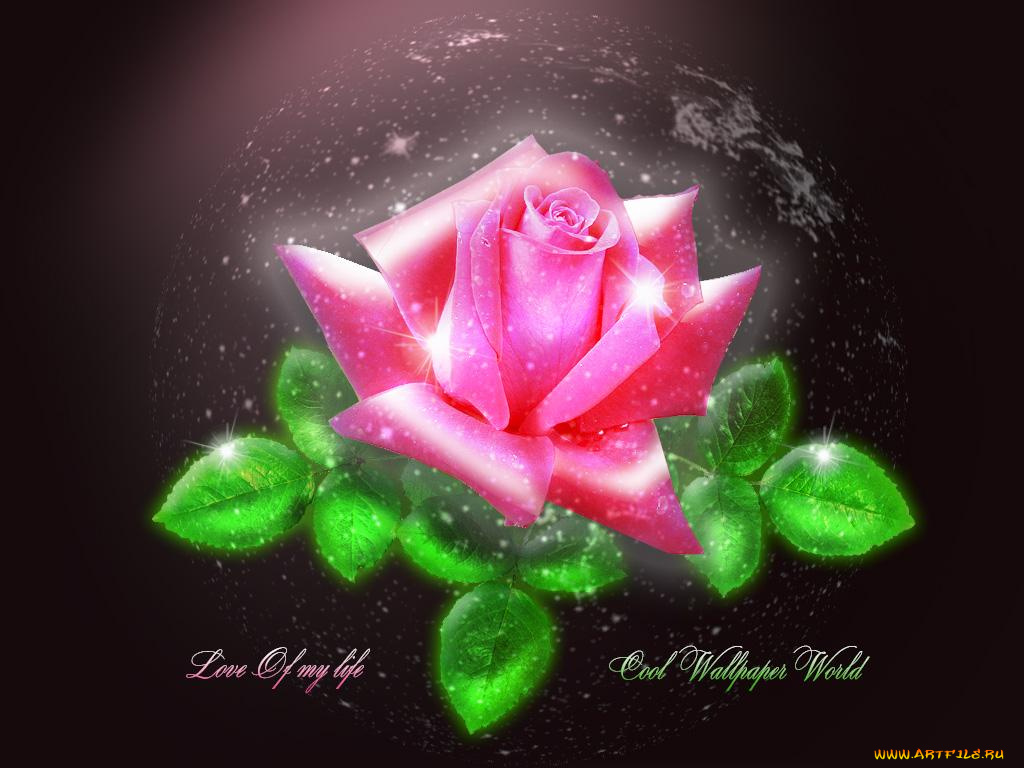 рисованные, цветы