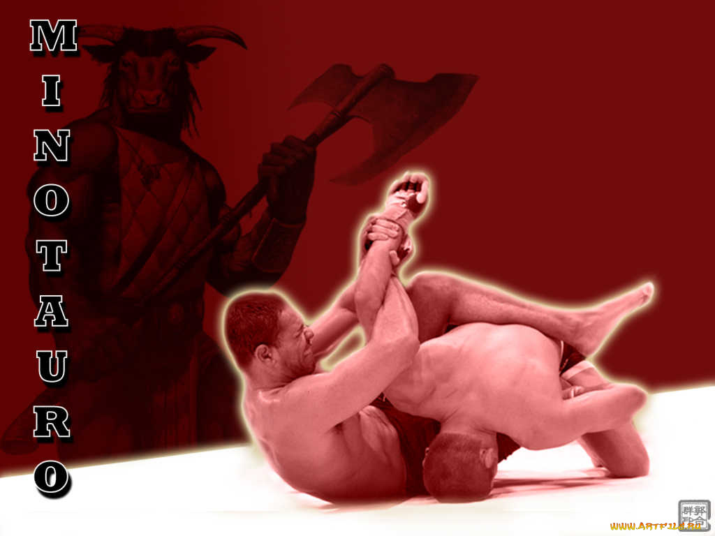 спорт, mix, fight