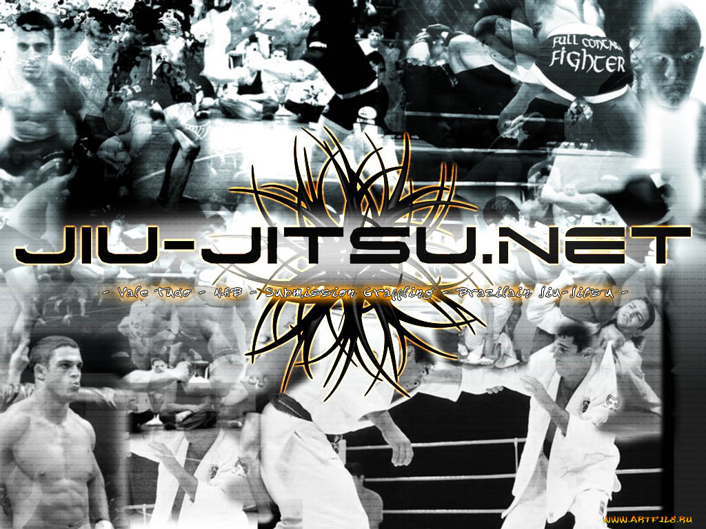 спорт, mix, fight