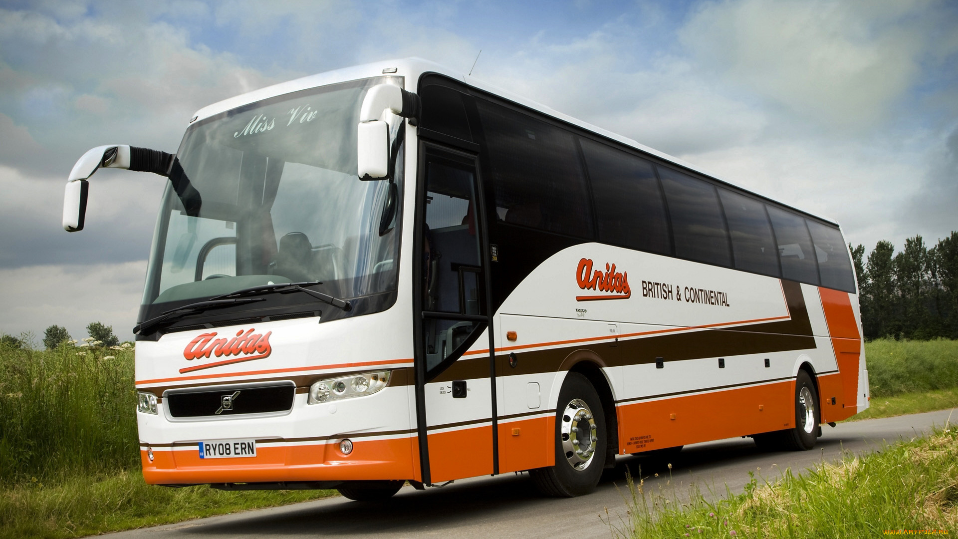 автомобили, автобусы