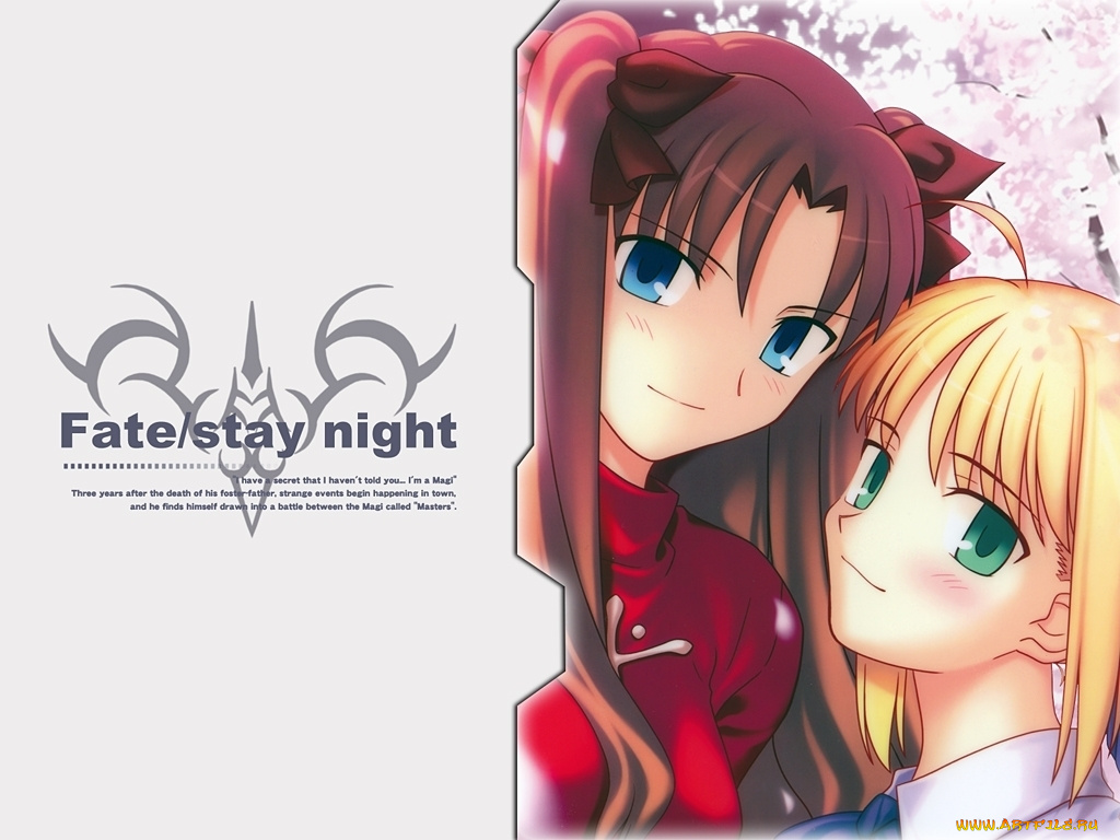 аниме, fate, stay, night