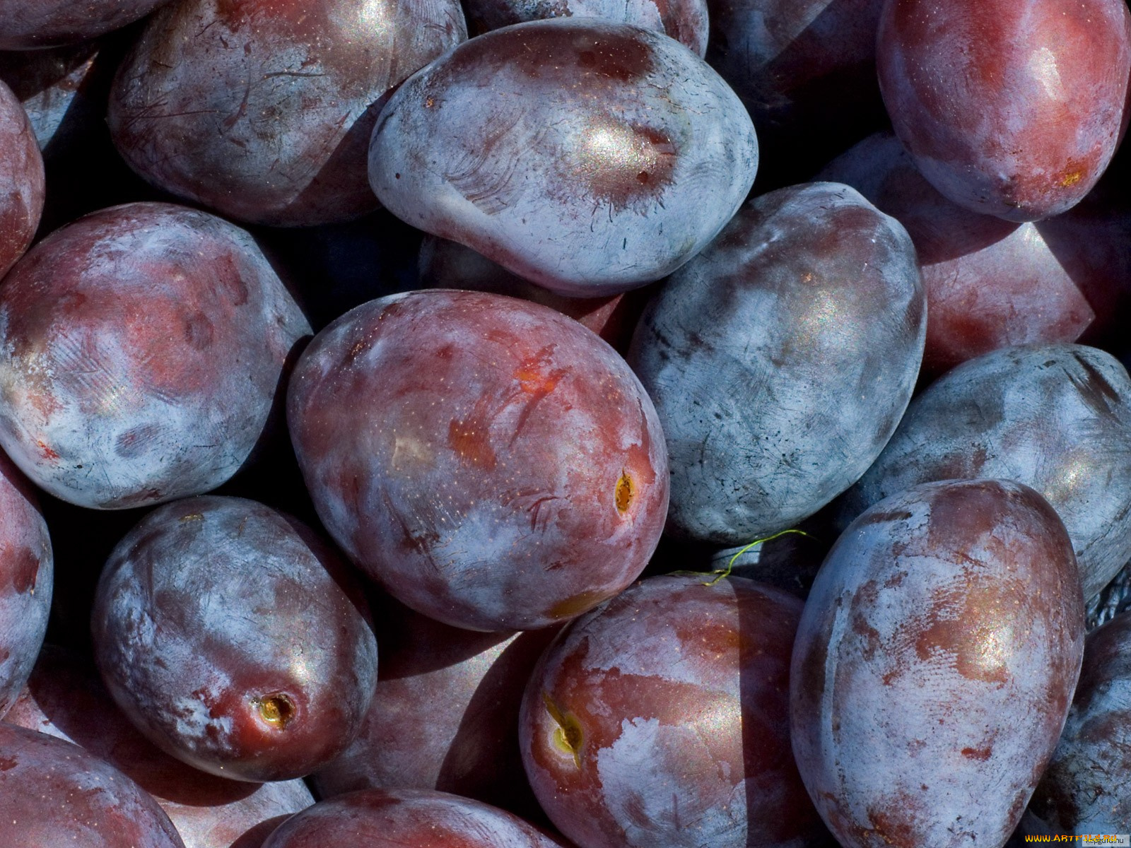 еда, персики, сливы, абрикосы