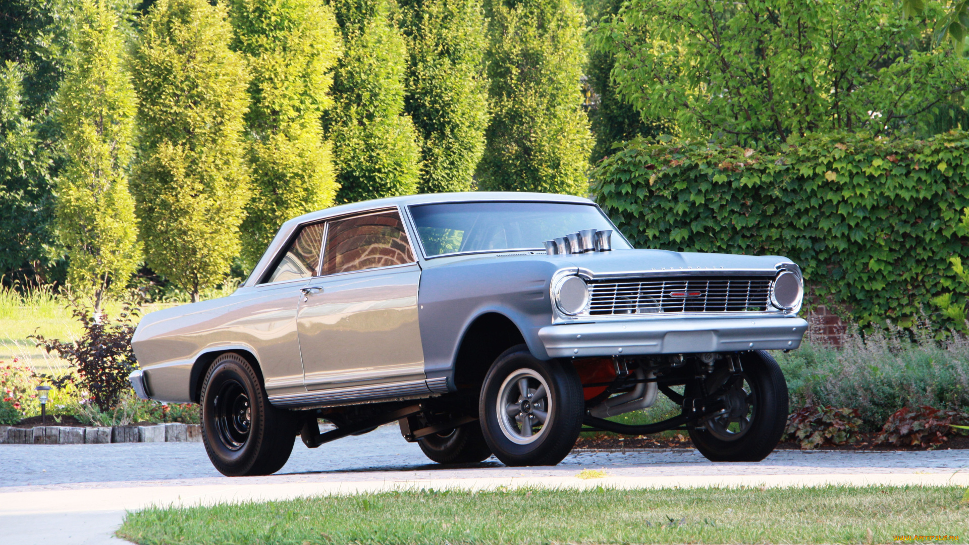 автомобили, hotrod, dragster, nova