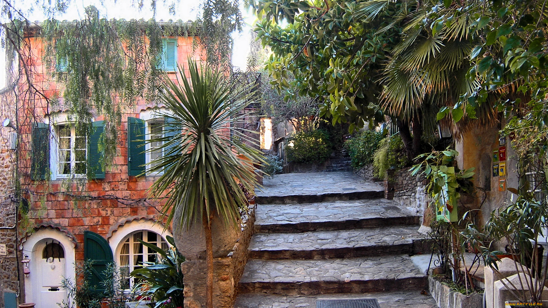 города, улицы, площади, набережные, улочка, пальмы