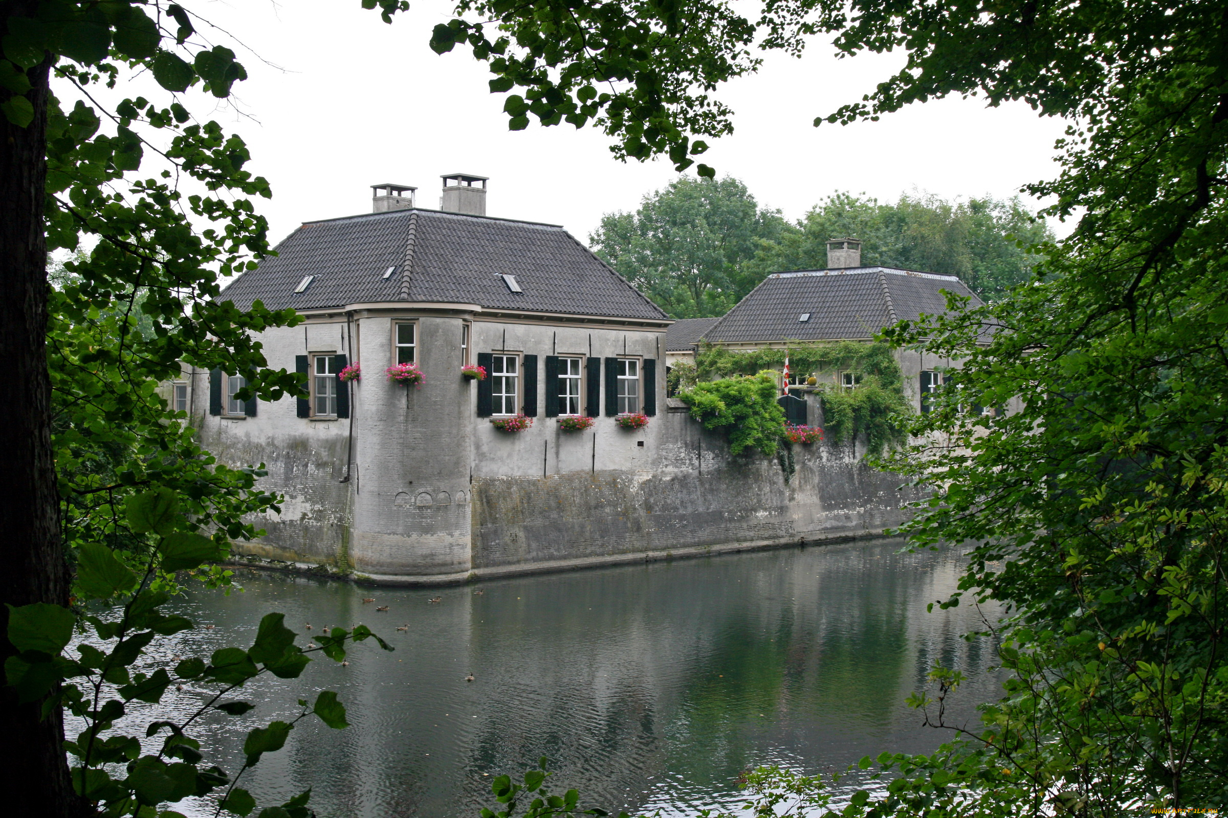 castle, oijen, holland, города, дворцы, замки, крепости, цветы, вода