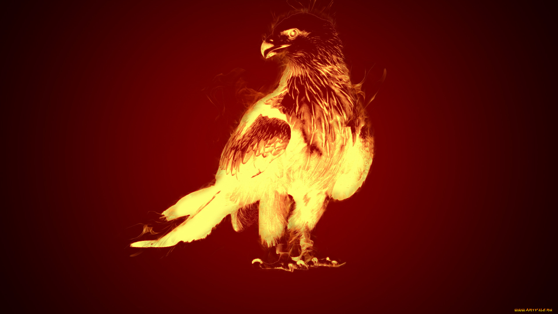 3д, графика, animals, животные, орел