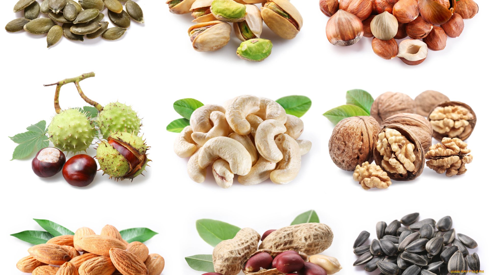 еда, орехи, каштаны, коллаж, семечки, фундук, грецкие, миндаль, фисташки, арахис