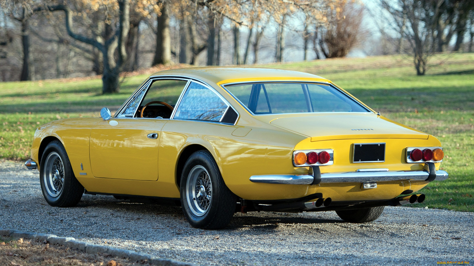 ferrari, автомобили, 365, италия, спортивный