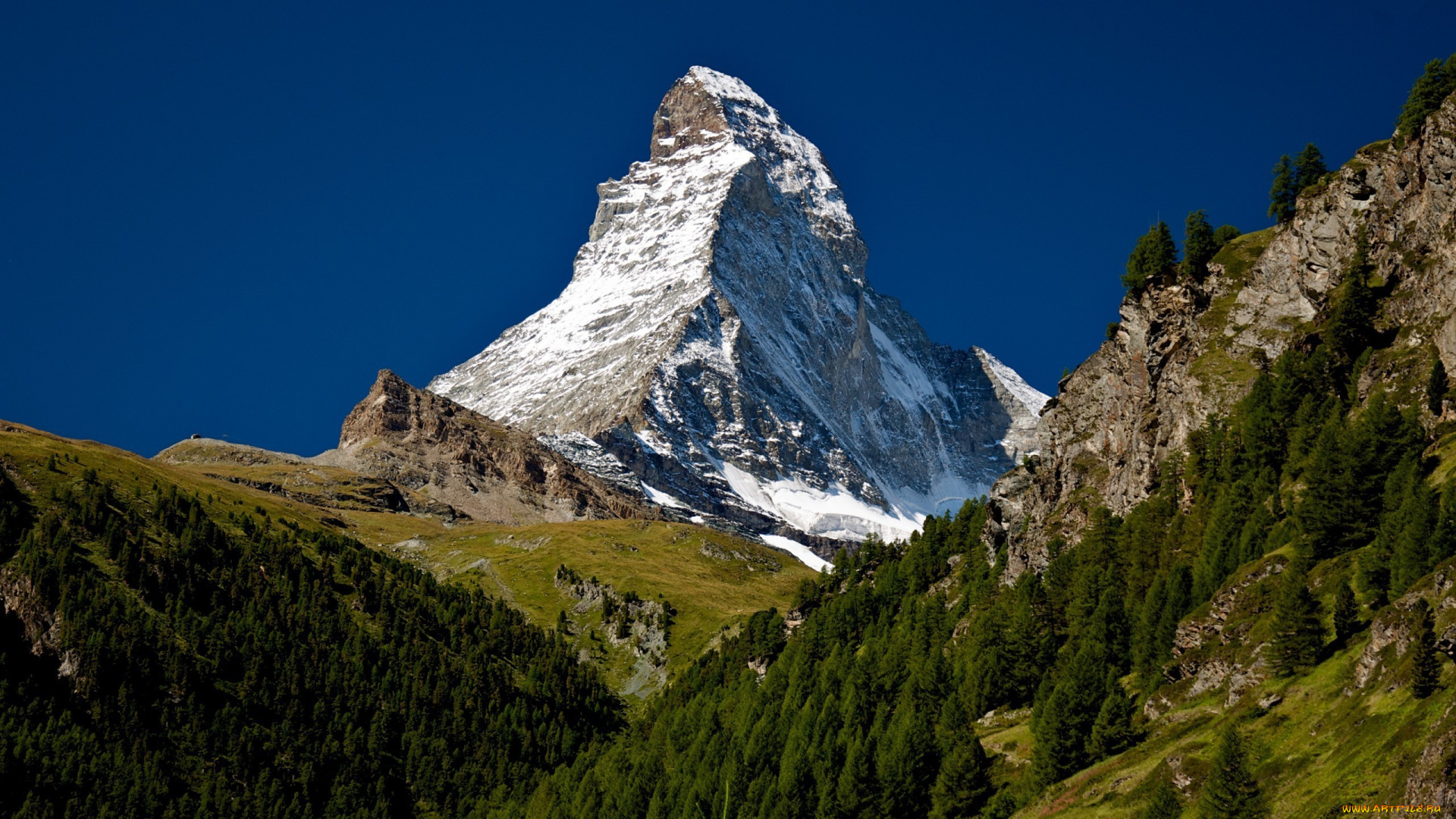 природа, горы, леса, вершина