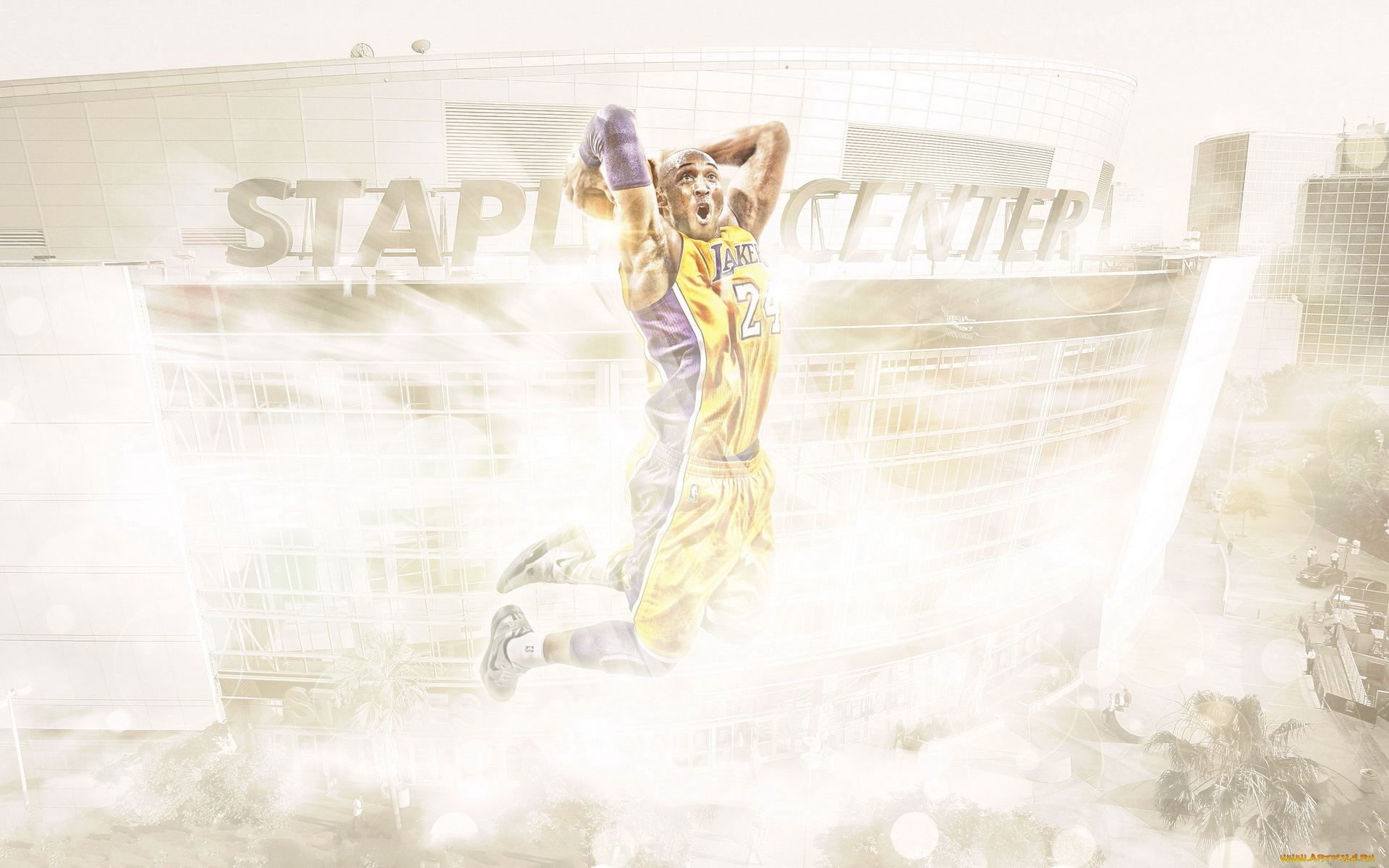 спорт, баскетбол, игрок