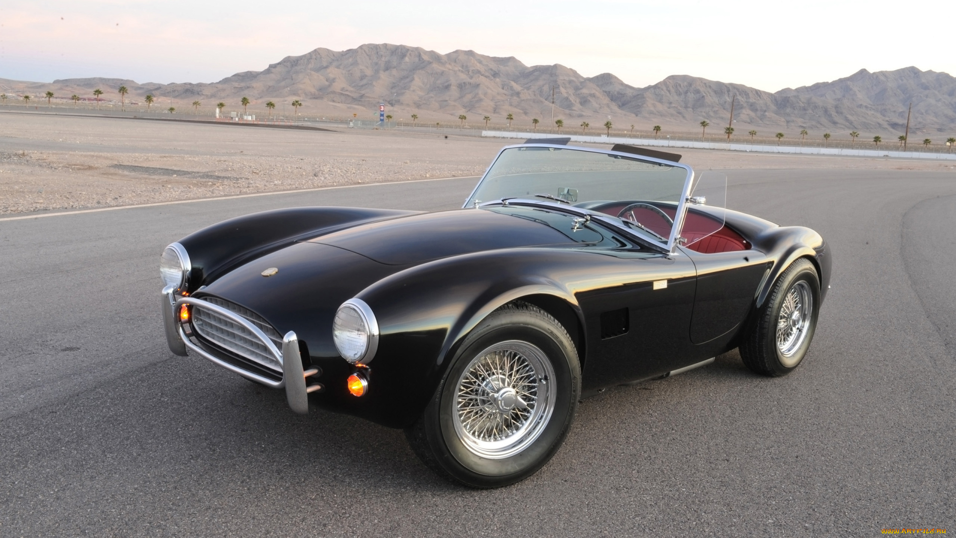 2014-shelby-cobra-50th-anniversary-static, автомобили, ac, cobra, shelby, anniversary