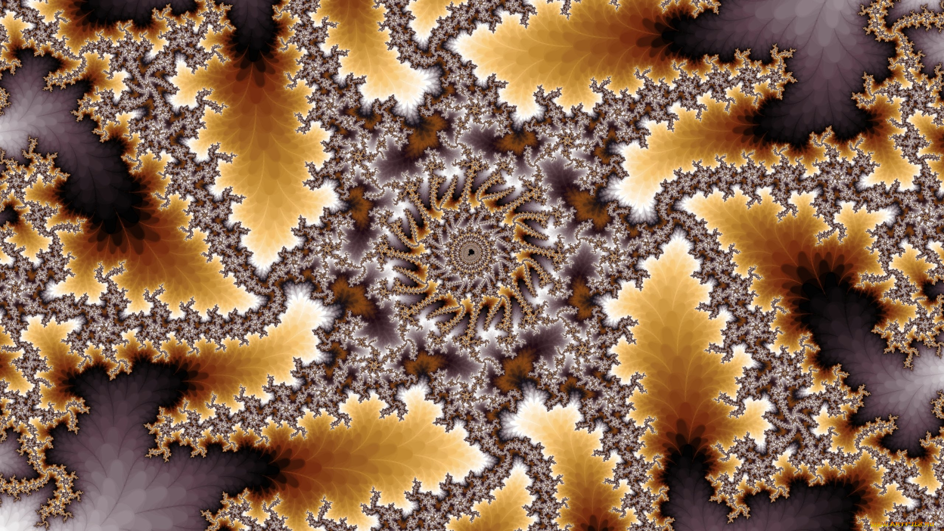 3д, графика, fractal, , фракталы, графика