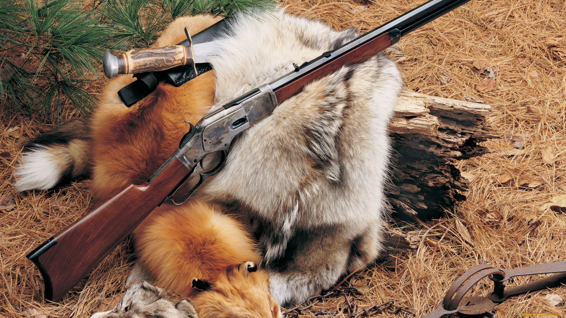 оружие, винтовкиружьямушкетывинчестеры, rifle