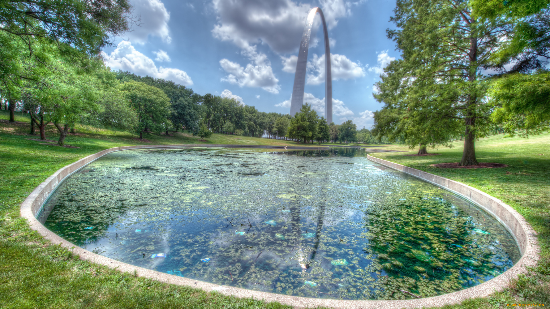 природа, парк, трава, деревья, пруд