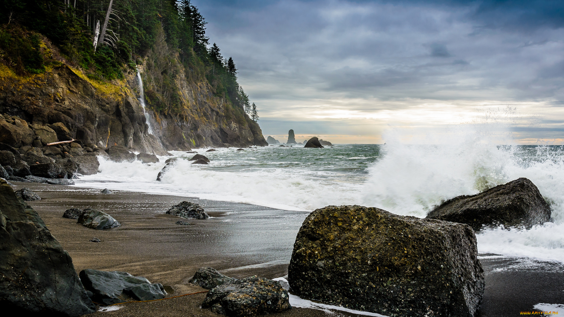 природа, побережье, скалы, камни, тучи, лес, пляж, океан