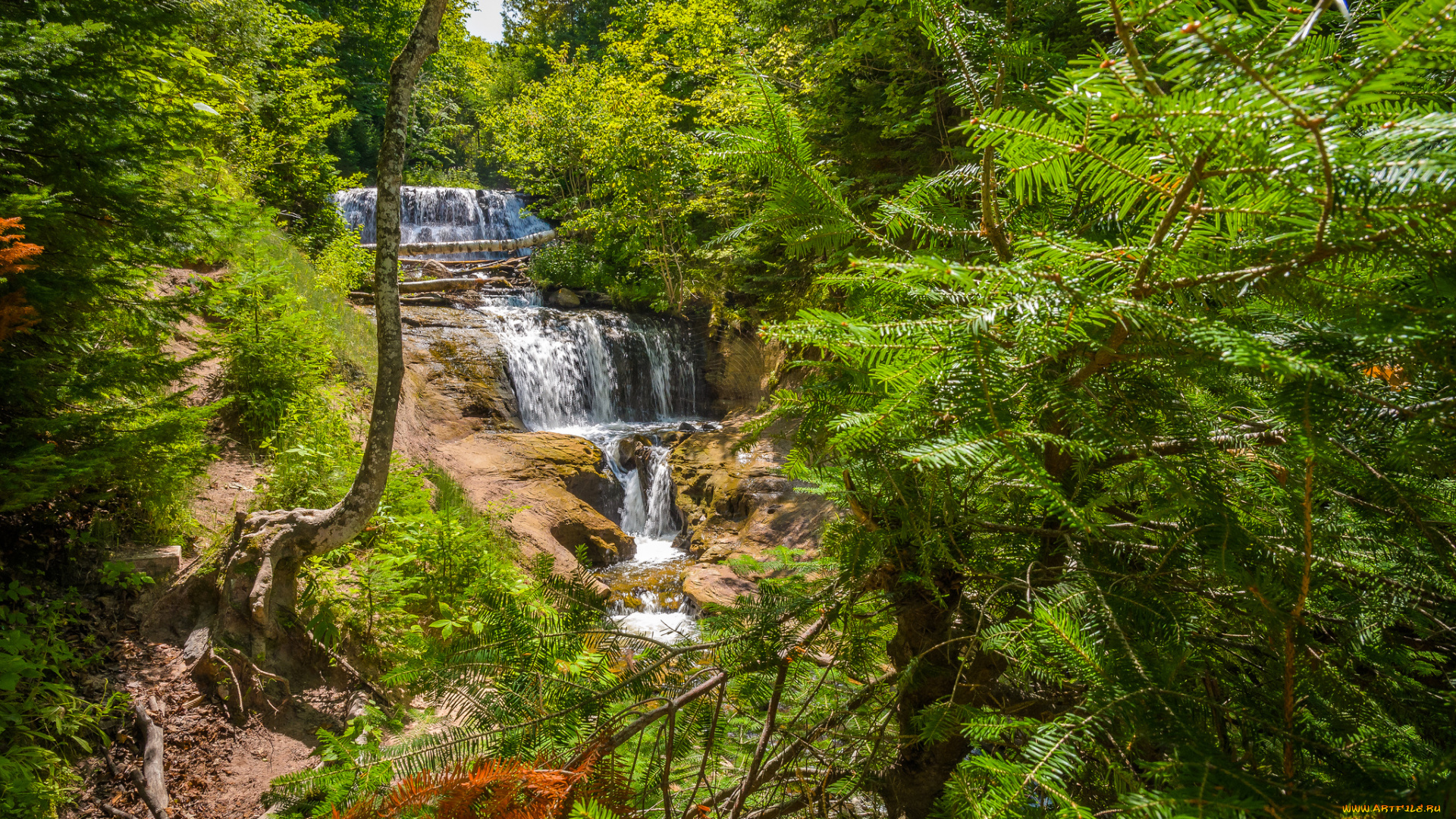 природа, водопады, заросли, лес, река, водопад, каскад