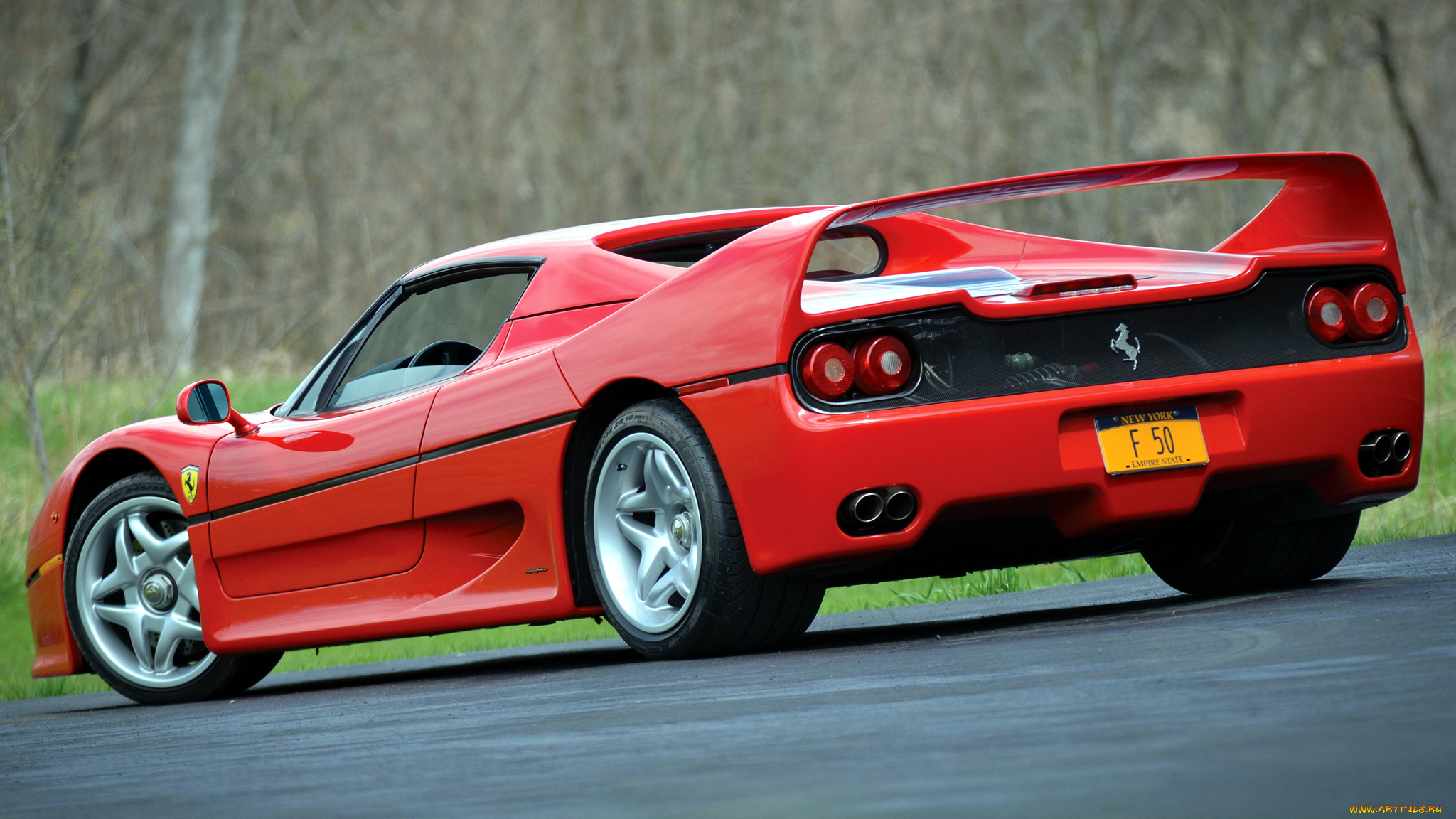 ferrari, f50, автомобили, ferrari, италия, спортивные, гоночные, s, p, a